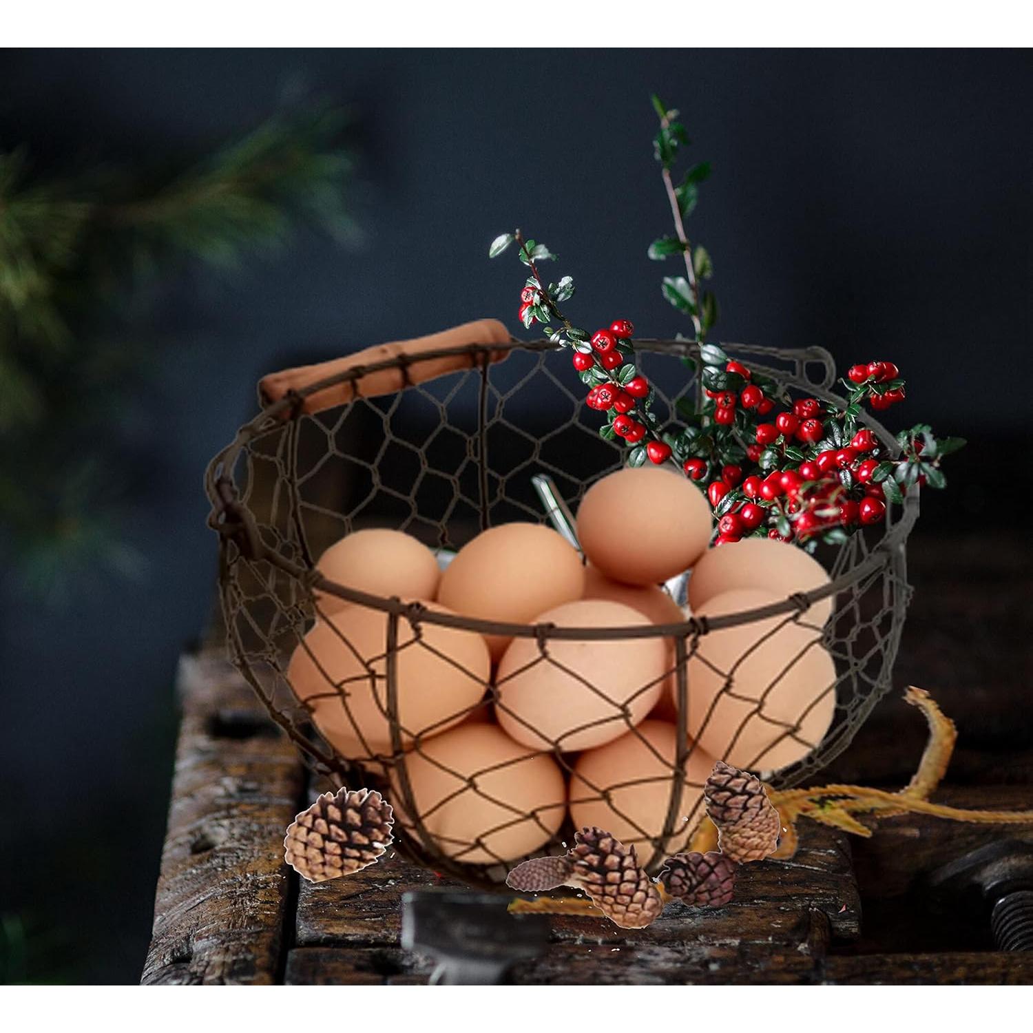 Cesta de Alambre para Huevos TAIANLE Vintage 17.8cm