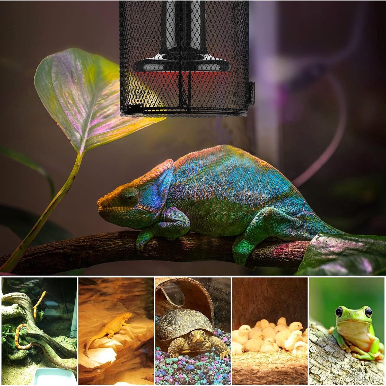 Cubierta de Malla Anti Escaldado Simple Deluxe para Reptiles