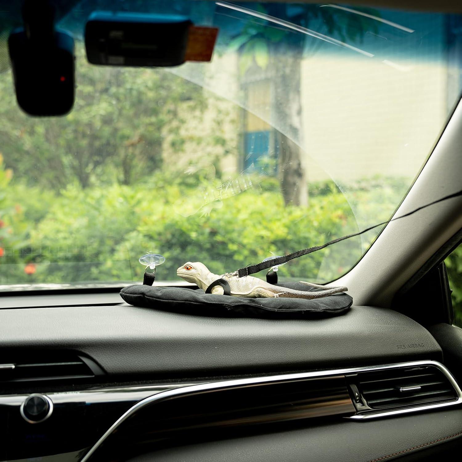 Cama Suave para Dragón Barbudo Swirge con Arnés y Correa