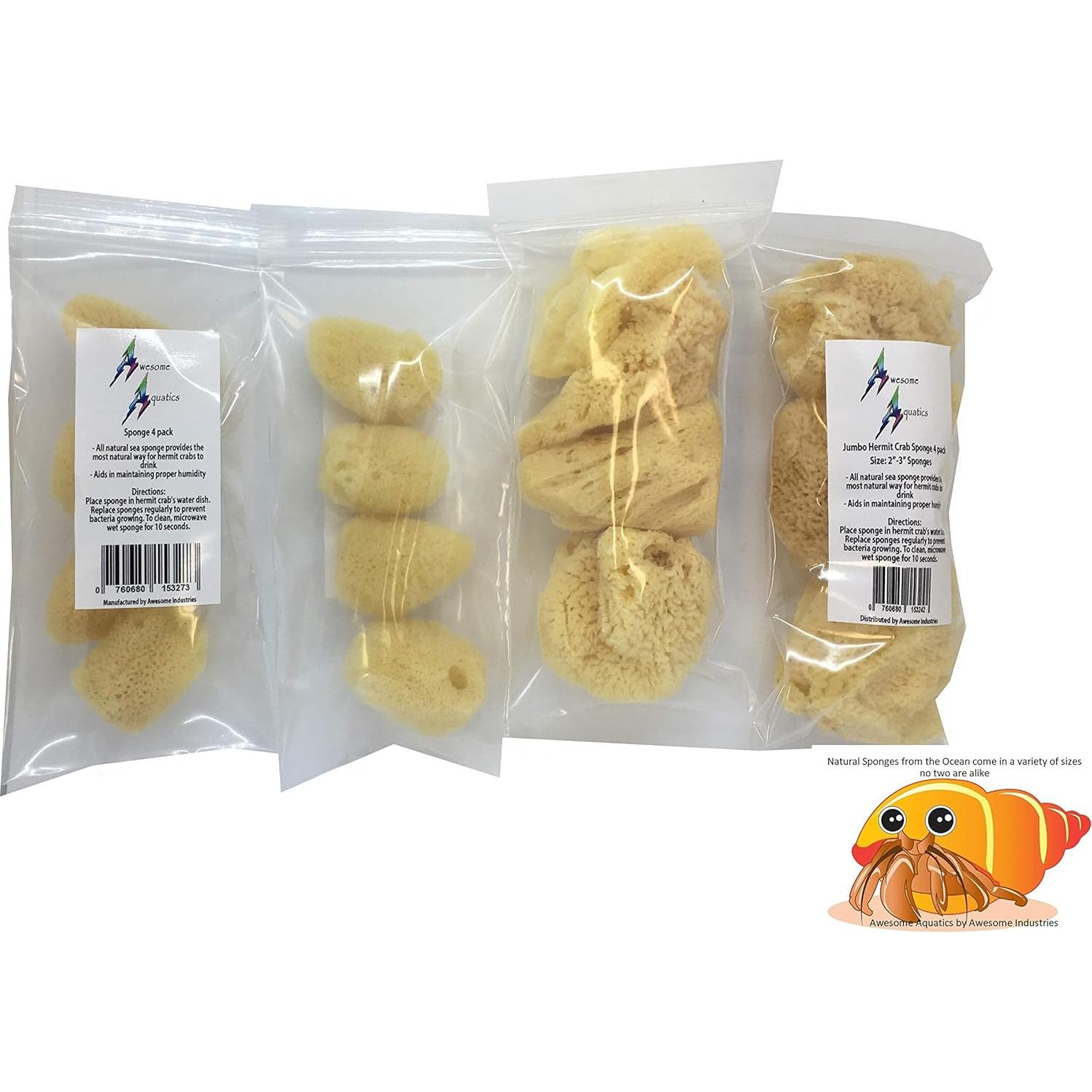 Esponjas Naturales Jumbo para Cangrejo Ermitaño 4 Piezas
