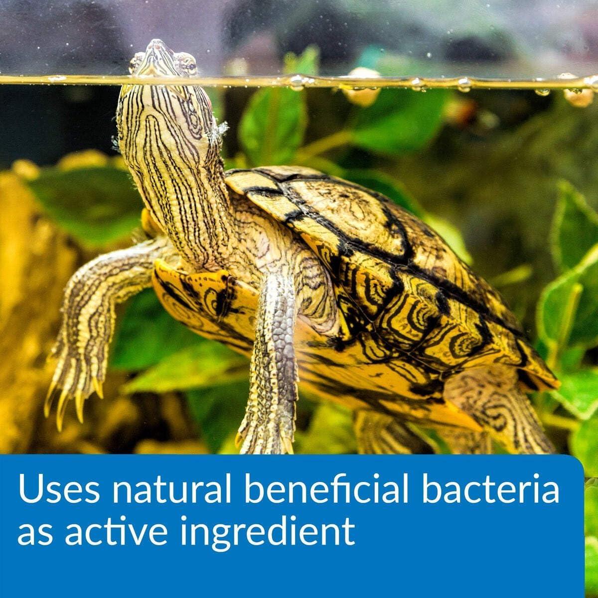 API TURTLE SLUDGE DESTROYER Limpiador de Acuarios 118 ml