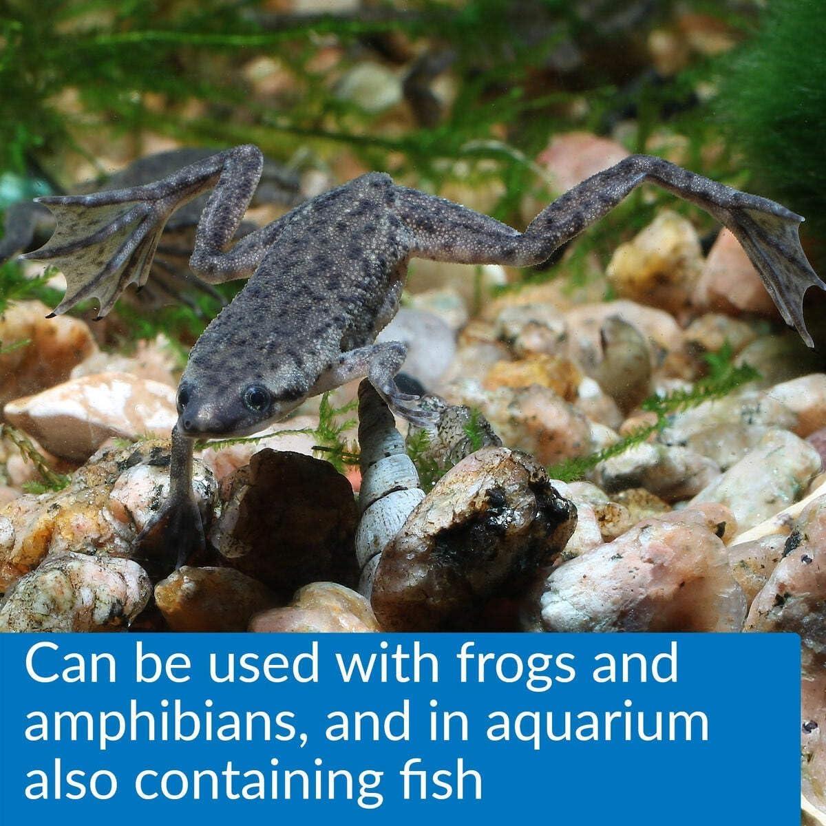 API TURTLE SLUDGE DESTROYER Limpiador de Acuarios 118 ml