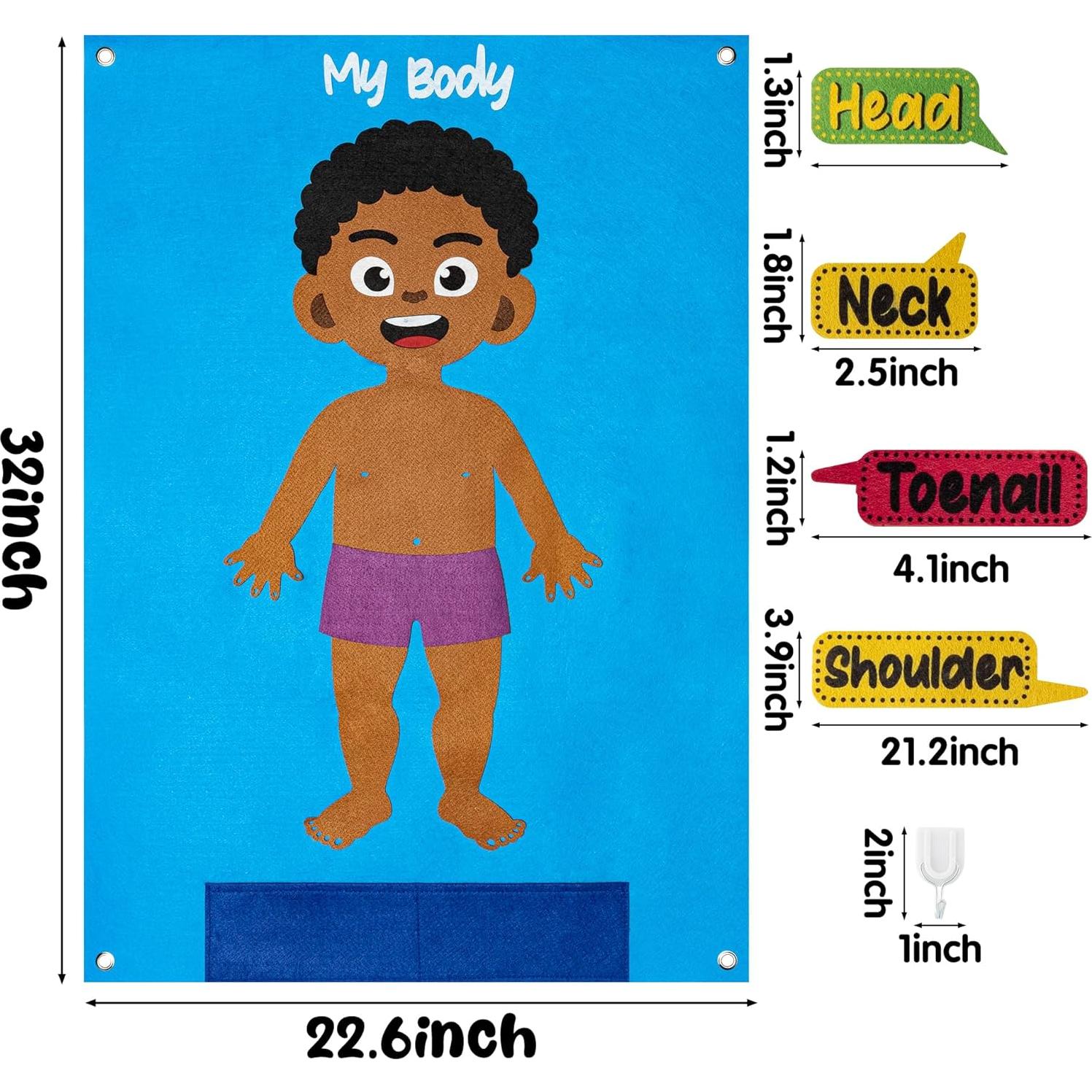 Conjunto Educativo de Cuerpo Humano WATINC 35 Piezas