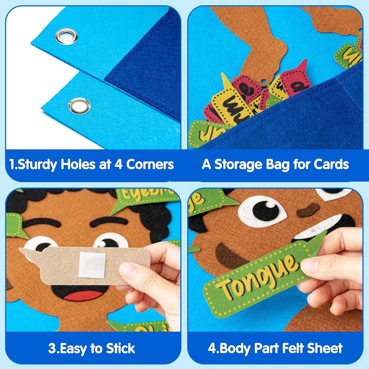 Conjunto Educativo de Cuerpo Humano WATINC 35 Piezas