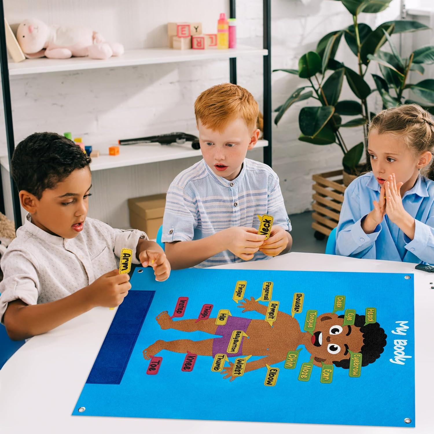 Conjunto Educativo de Cuerpo Humano WATINC 35 Piezas