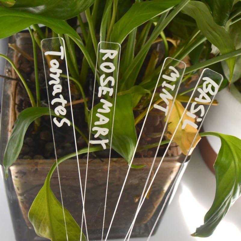 Garneck 72 Etiquetas de Acrílico para Jardín 12x1cm Transparentes