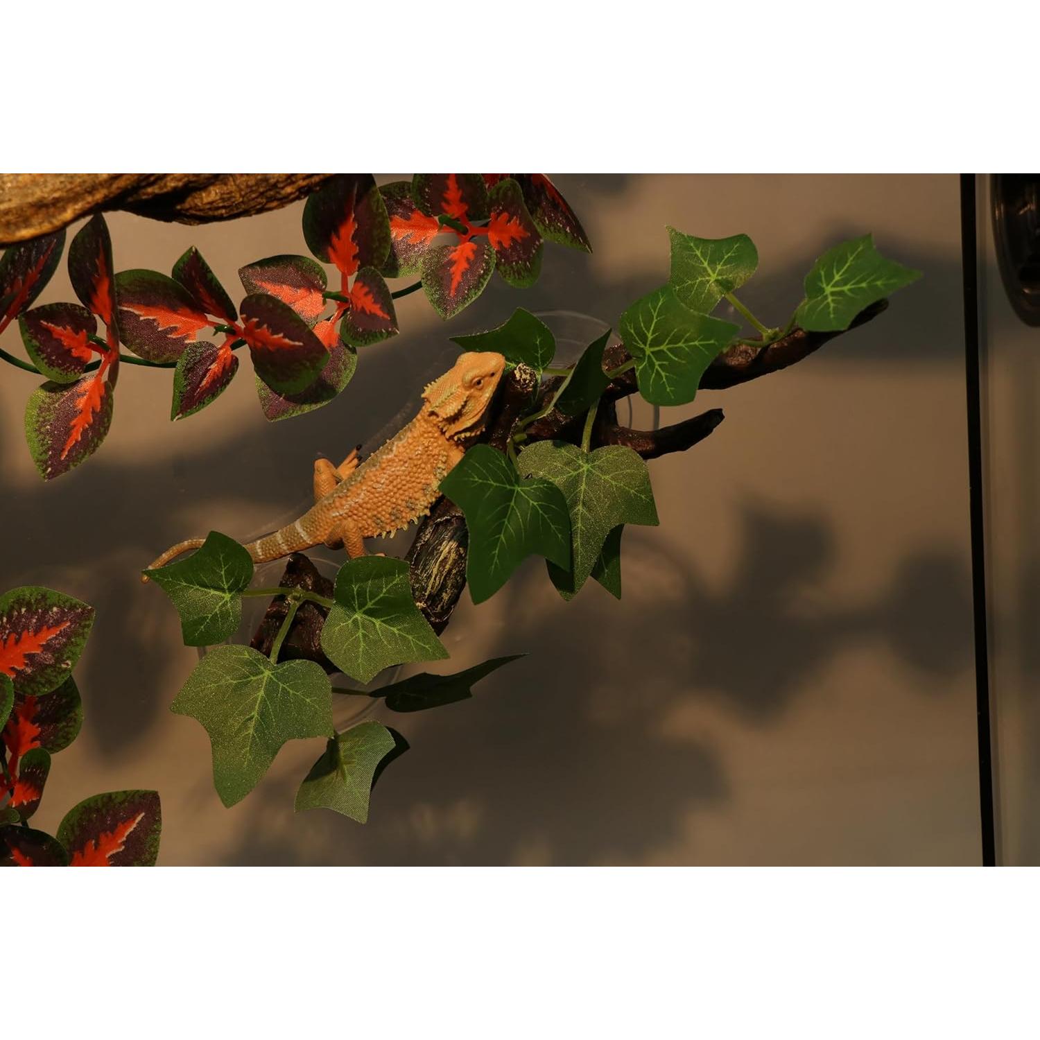 Rama de Escalada para Reptiles AQUA KT 22x5x22cm