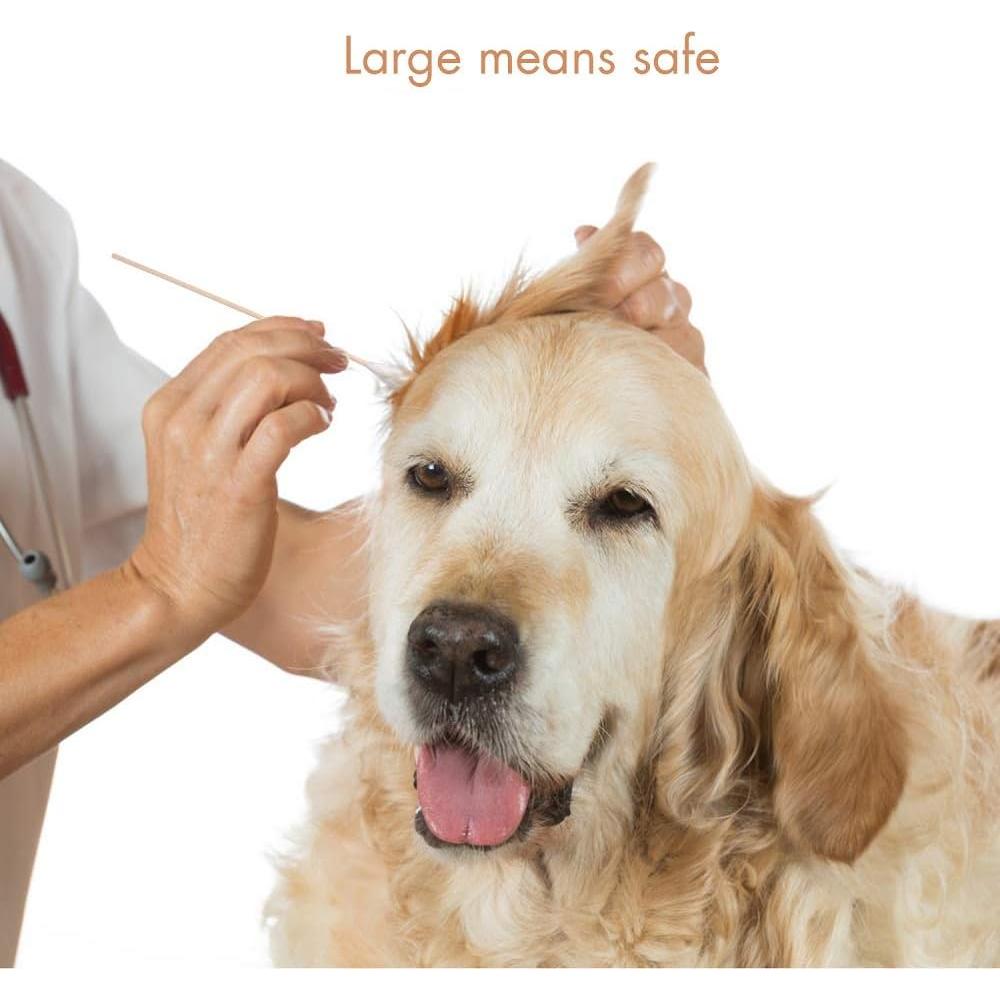 Bastones de Algodón para Perros GLADOG 15.24 cm - 100 Unidades