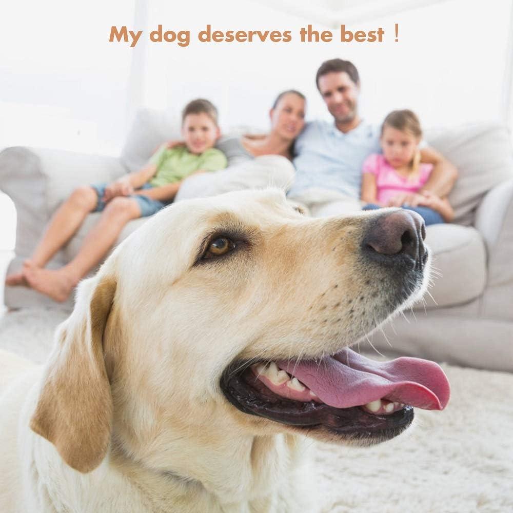 Bastones de Algodón para Perros GLADOG 15.24 cm - 100 Unidades