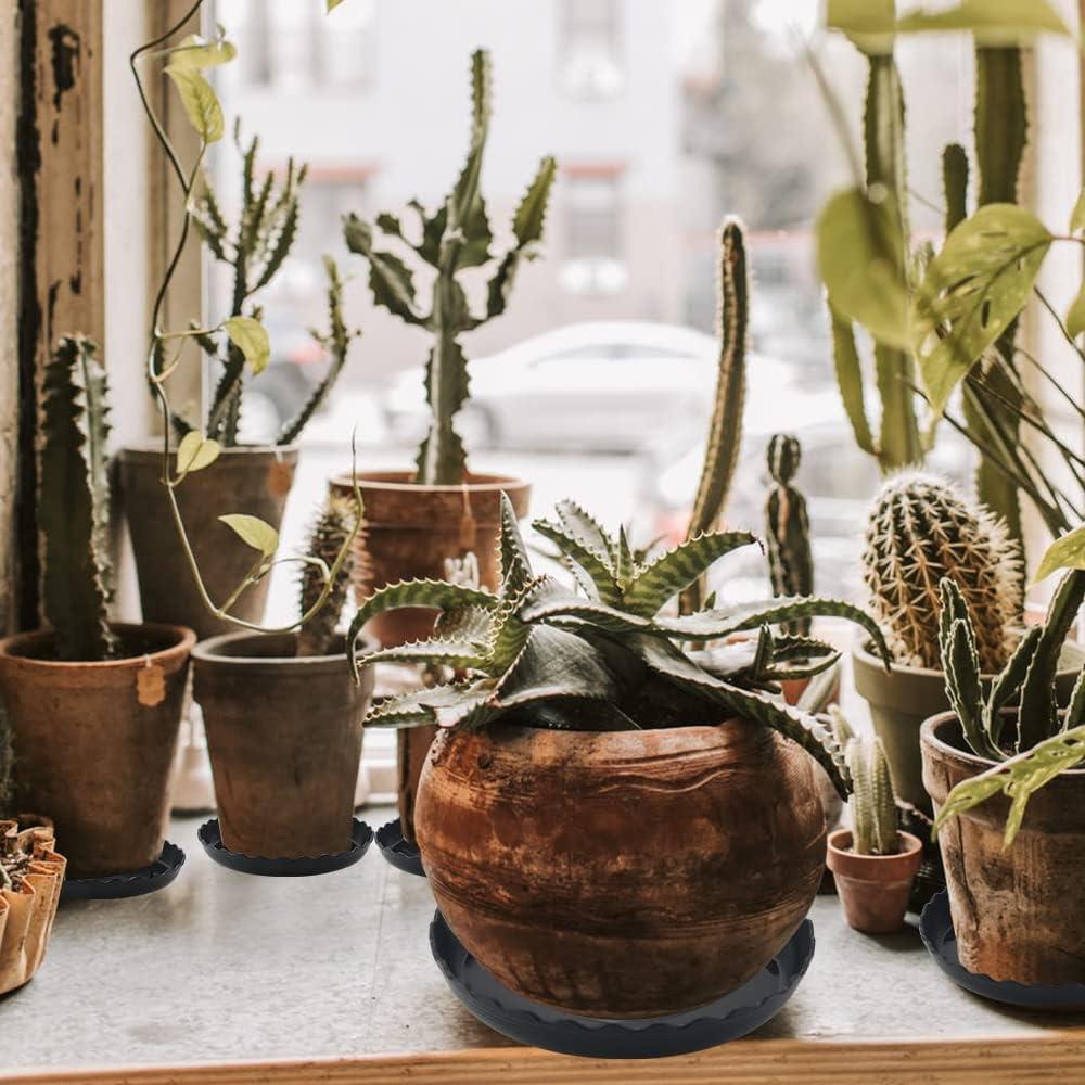 Paquete de 12 bandejas de plástico negro para macetas 15-25 cm