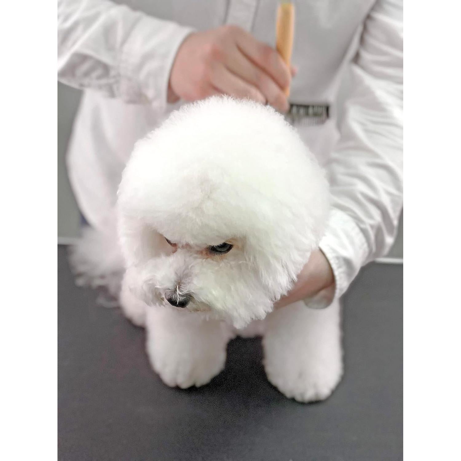 Cepillo Slicker de Madera Furzone L - Acero Inoxidable para Perros