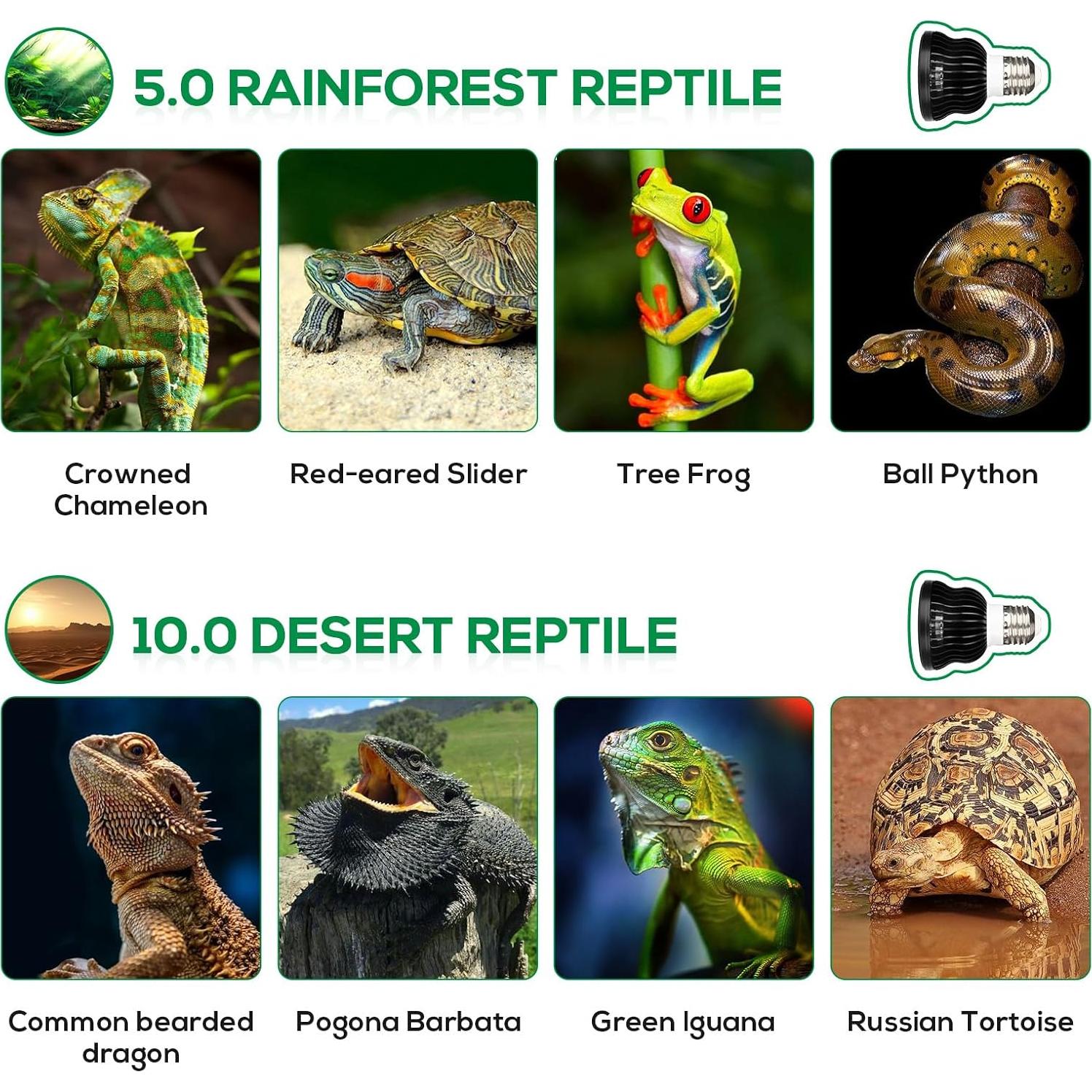 Bombilla UVB 5.5W Hygger Zoo para Reptiles - Espectro Completo