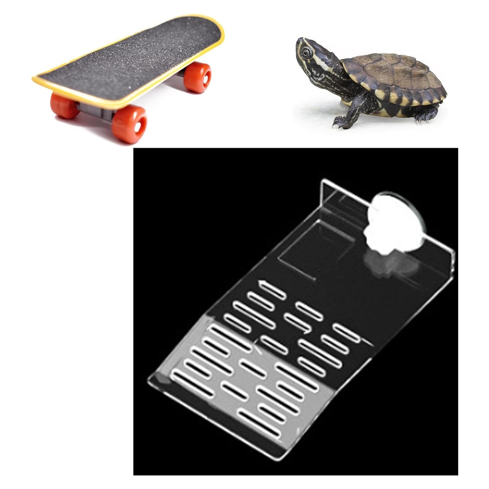Plataforma de Sol y Patineta para Tortugas PurrrfectionPet