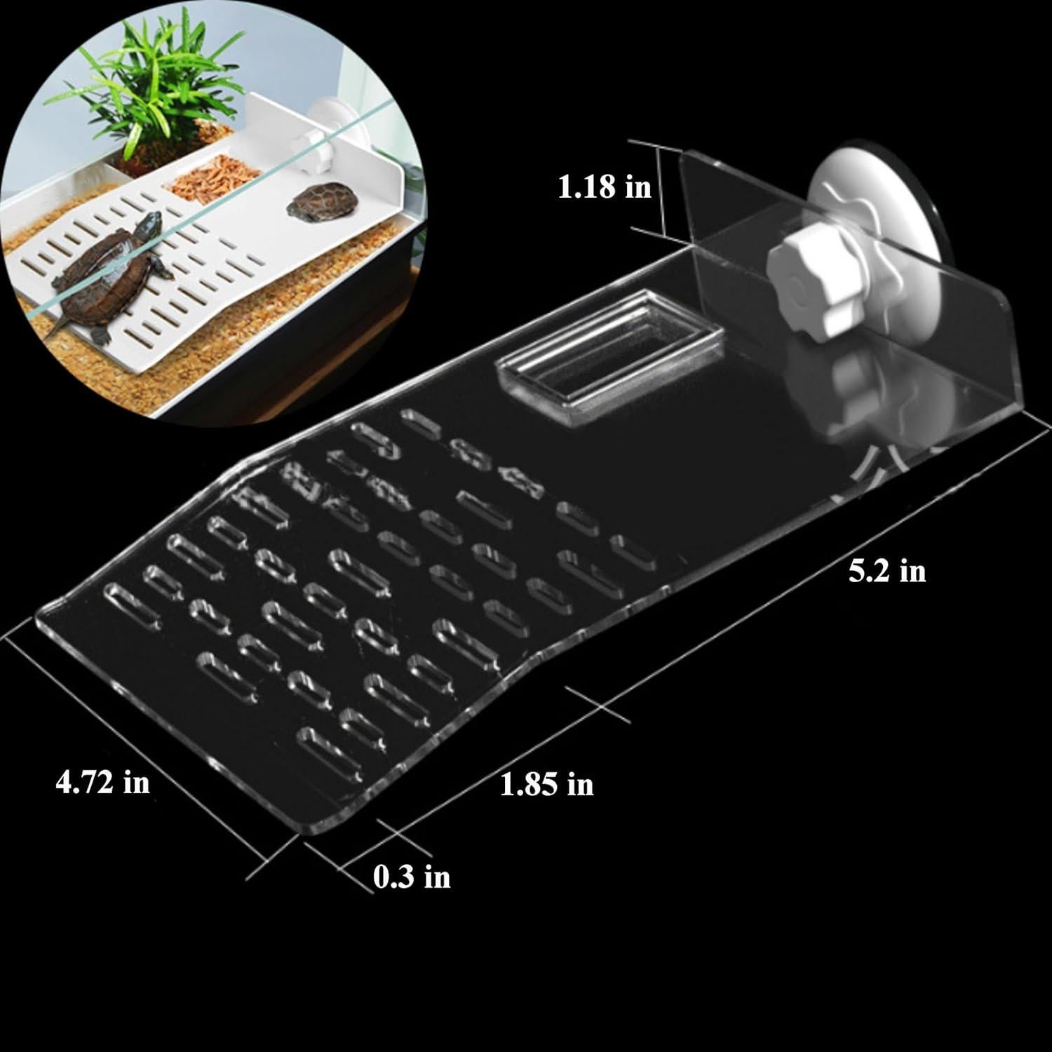 Plataforma de Sol y Patineta para Tortugas PurrrfectionPet