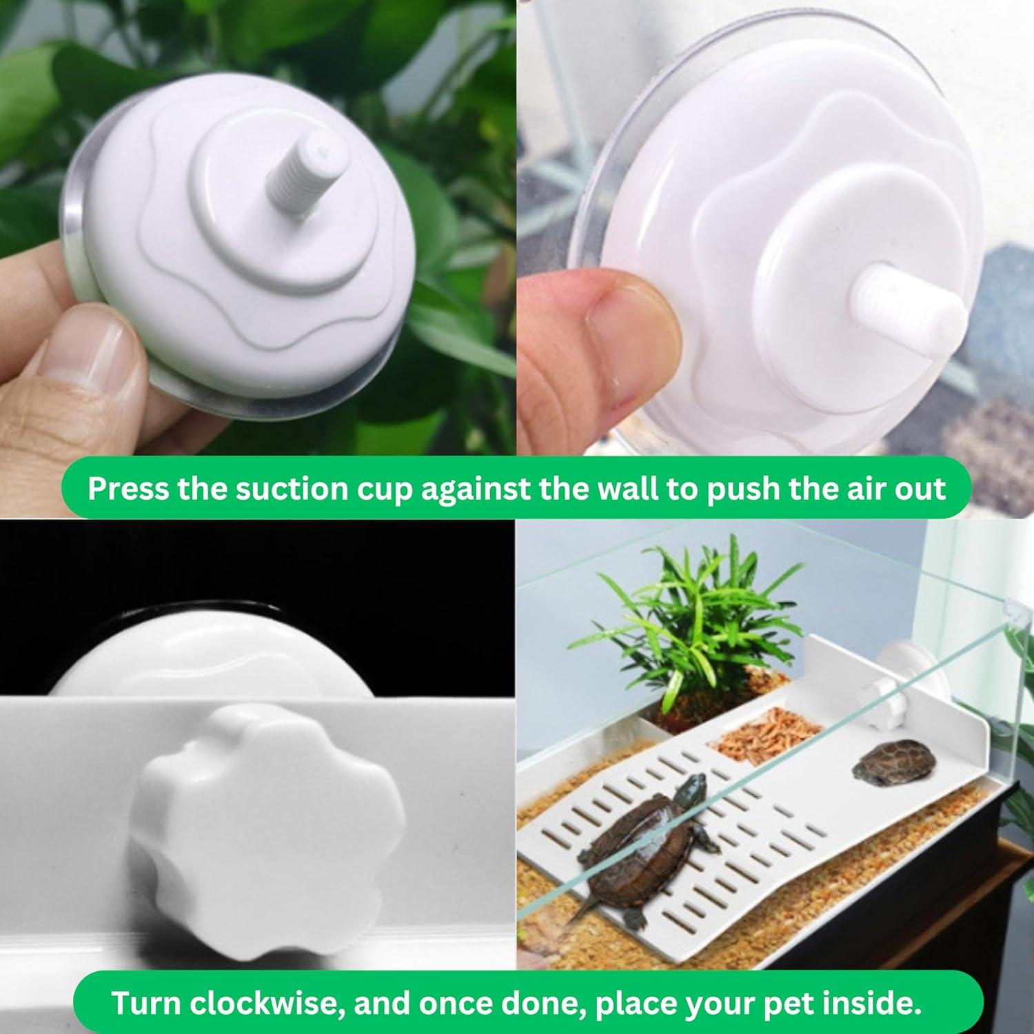 Plataforma de Sol y Patineta para Tortugas PurrrfectionPet