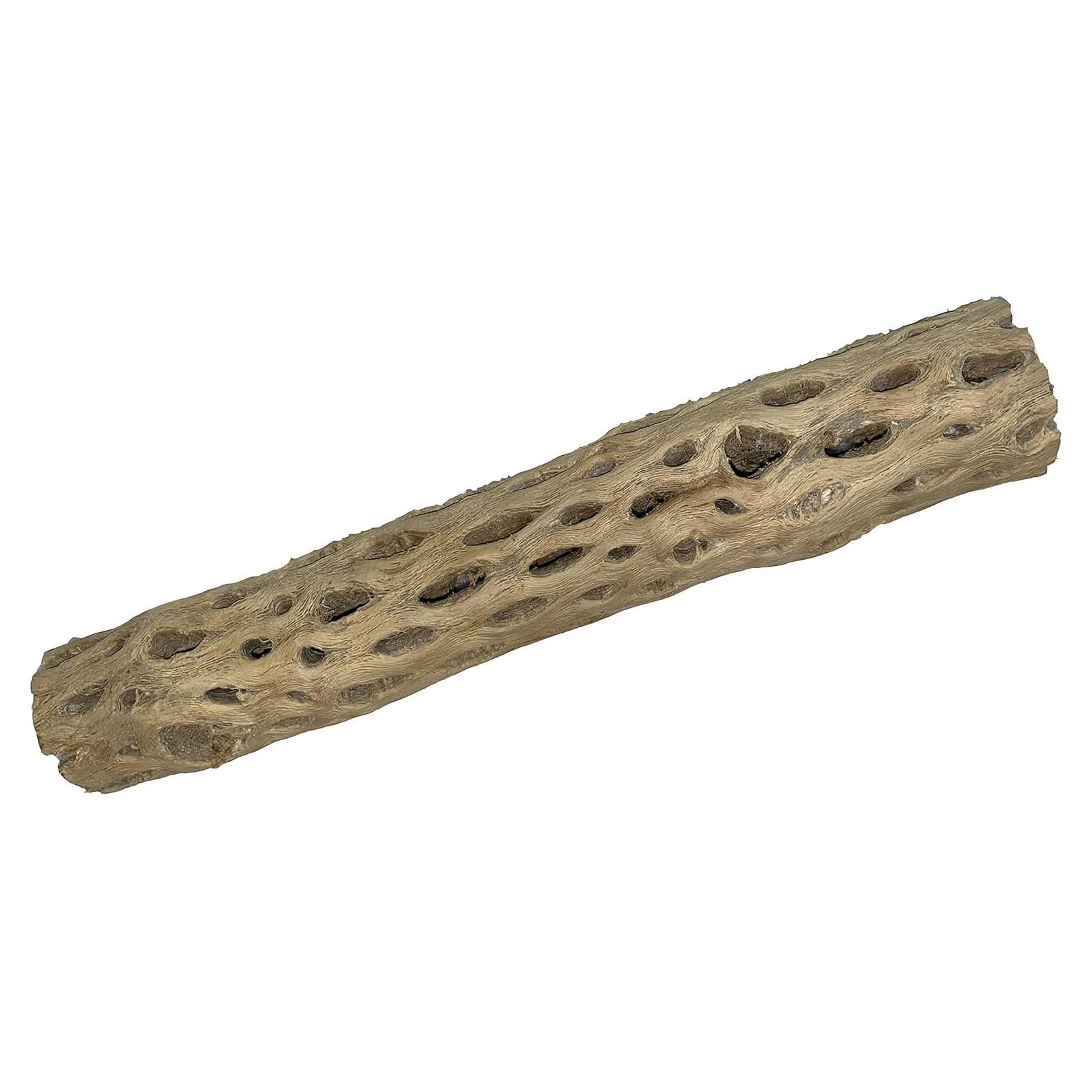 Estructura Acuática Cholla XL 30 cm x 5-8 cm Natural