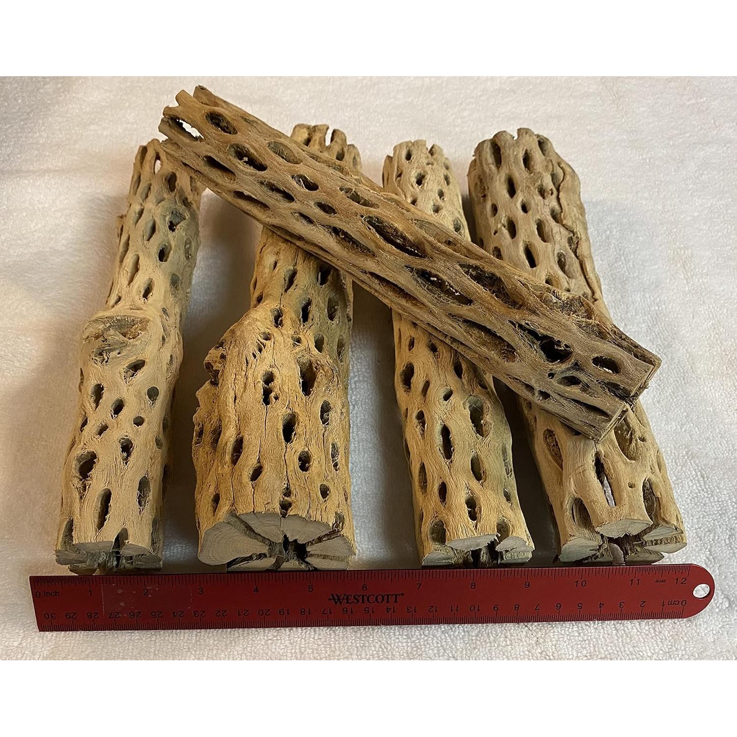 Estructura Acuática Cholla XL 30 cm x 5-8 cm Natural