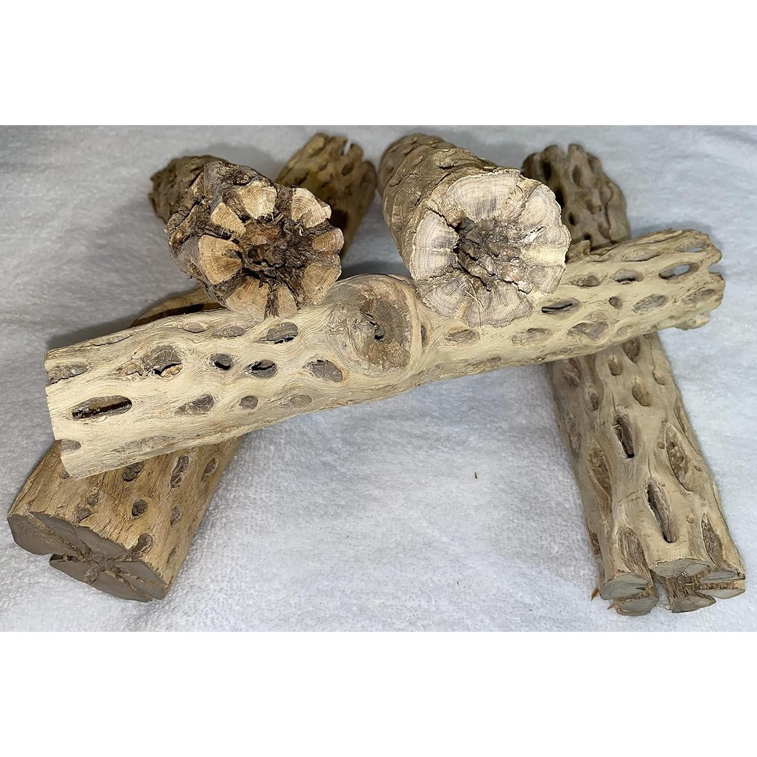 Estructura Acuática Cholla XL 30 cm x 5-8 cm Natural