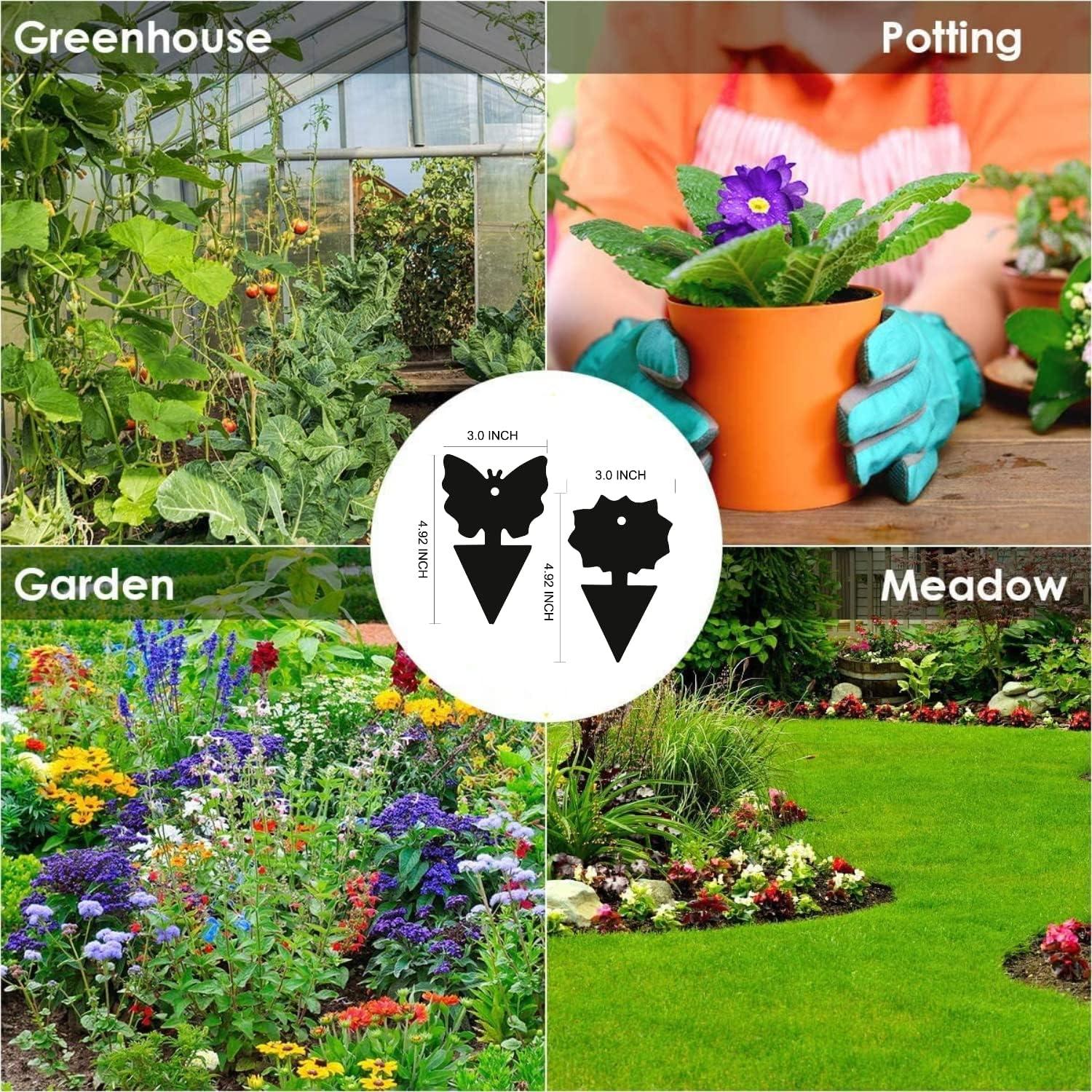 Trampas Adhesivas para Moscas y Mosquitos Springco - 50 Piezas