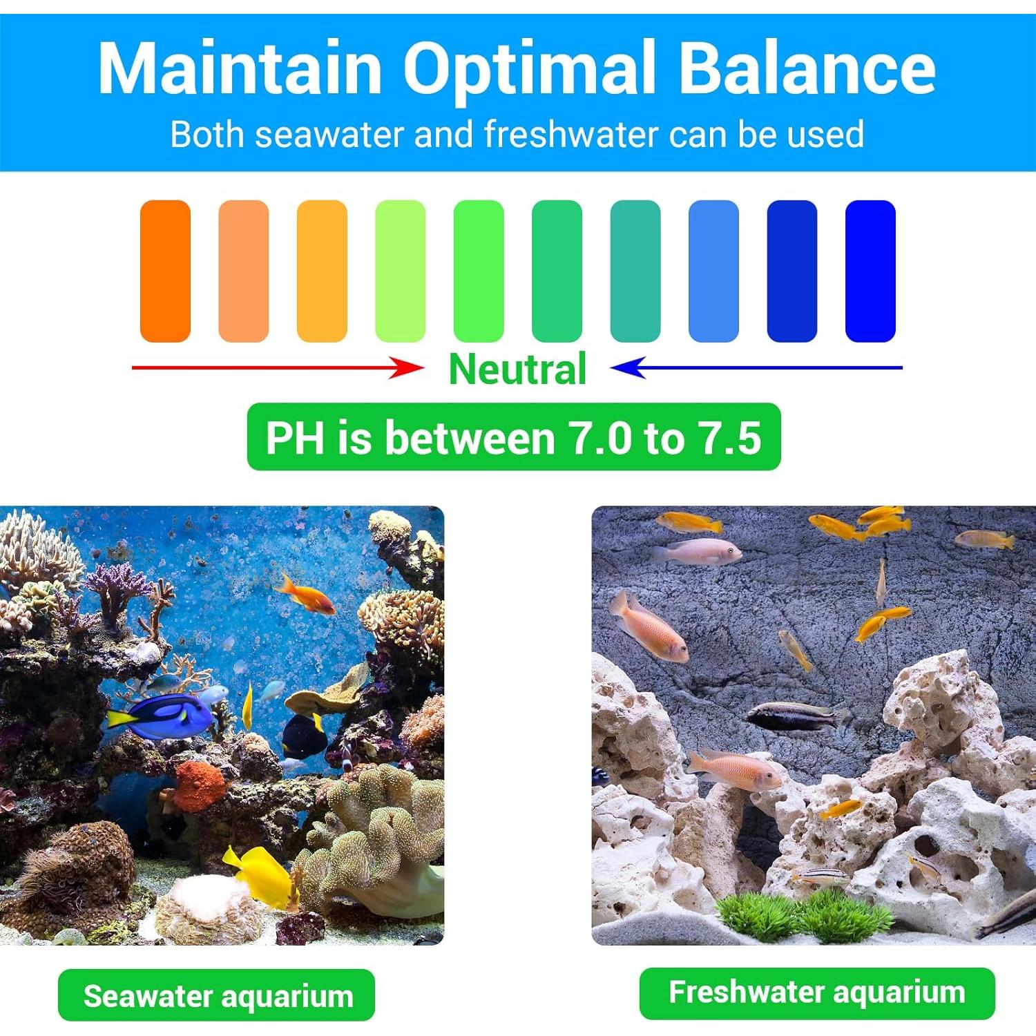 Segarty Filter Media,12 in 1 Bio Media for Aquarium Sump Filter Ceramic Rings Activated Carbon Bio Balls Freshwater Marine Biological Filter Media for Koi Fish Tank Pond Canister (1.1lb with Mesh Bag)