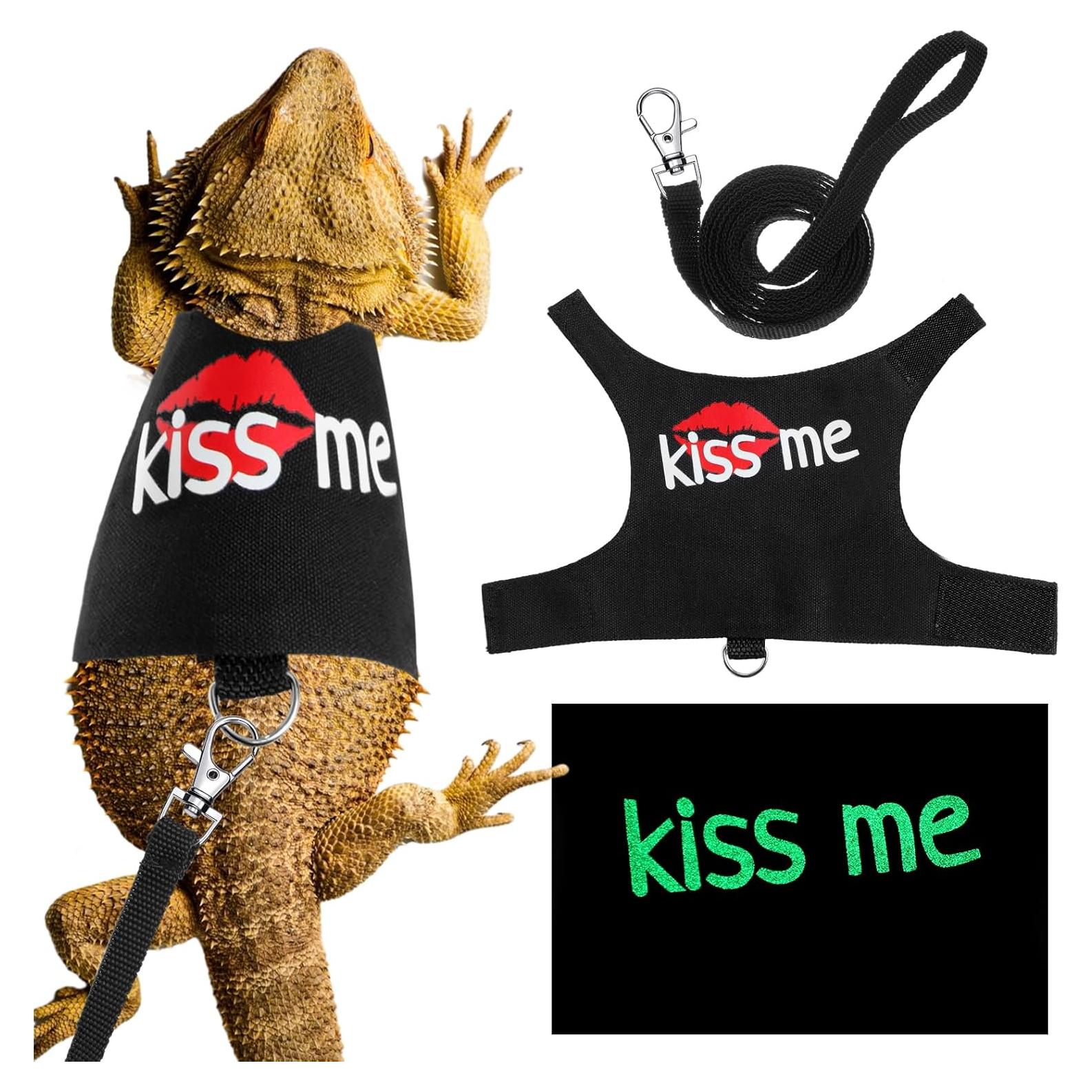 Set Arnés y Correa Luminiscente para Dragón Barbudo Wesnoy