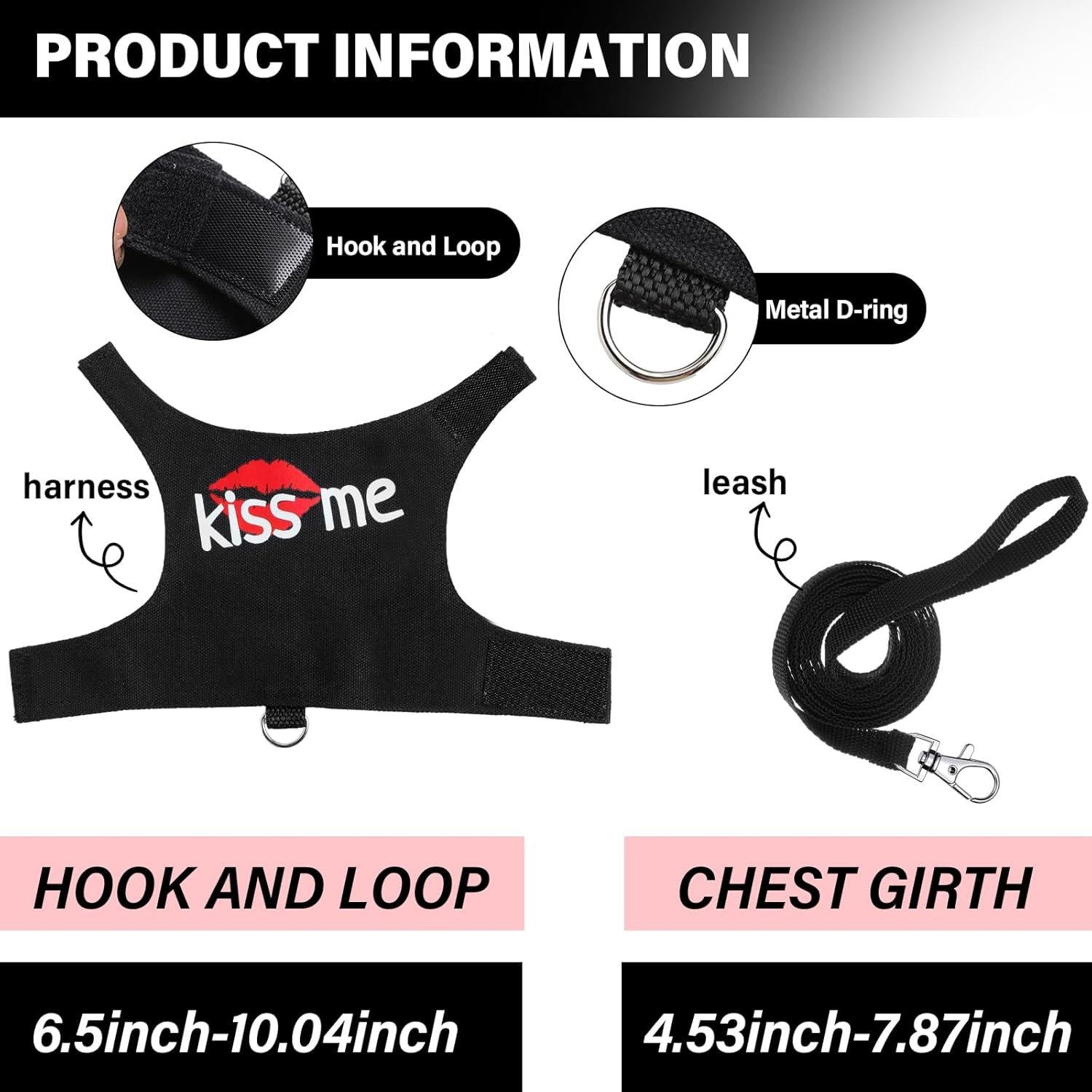 Set Arnés y Correa Luminiscente para Dragón Barbudo Wesnoy