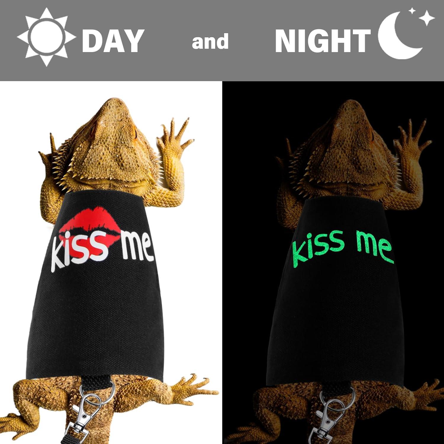 Set Arnés y Correa Luminiscente para Dragón Barbudo Wesnoy