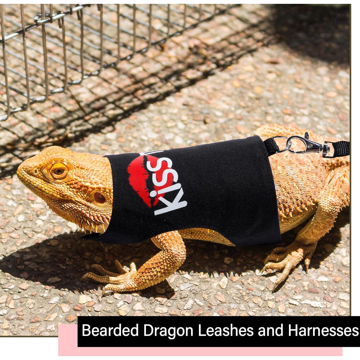 Set Arnés y Correa Luminiscente para Dragón Barbudo Wesnoy