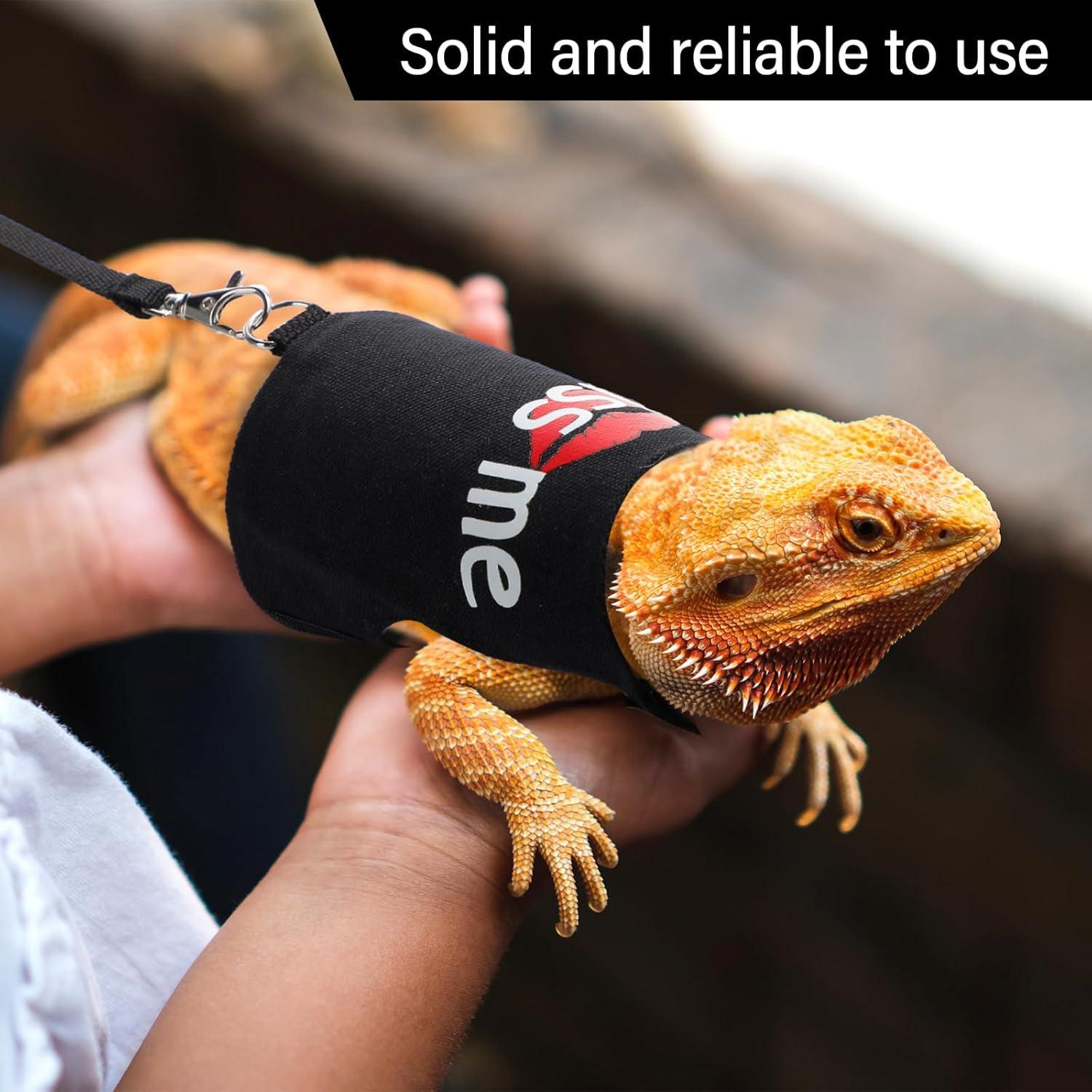 Set Arnés y Correa Luminiscente para Dragón Barbudo Wesnoy