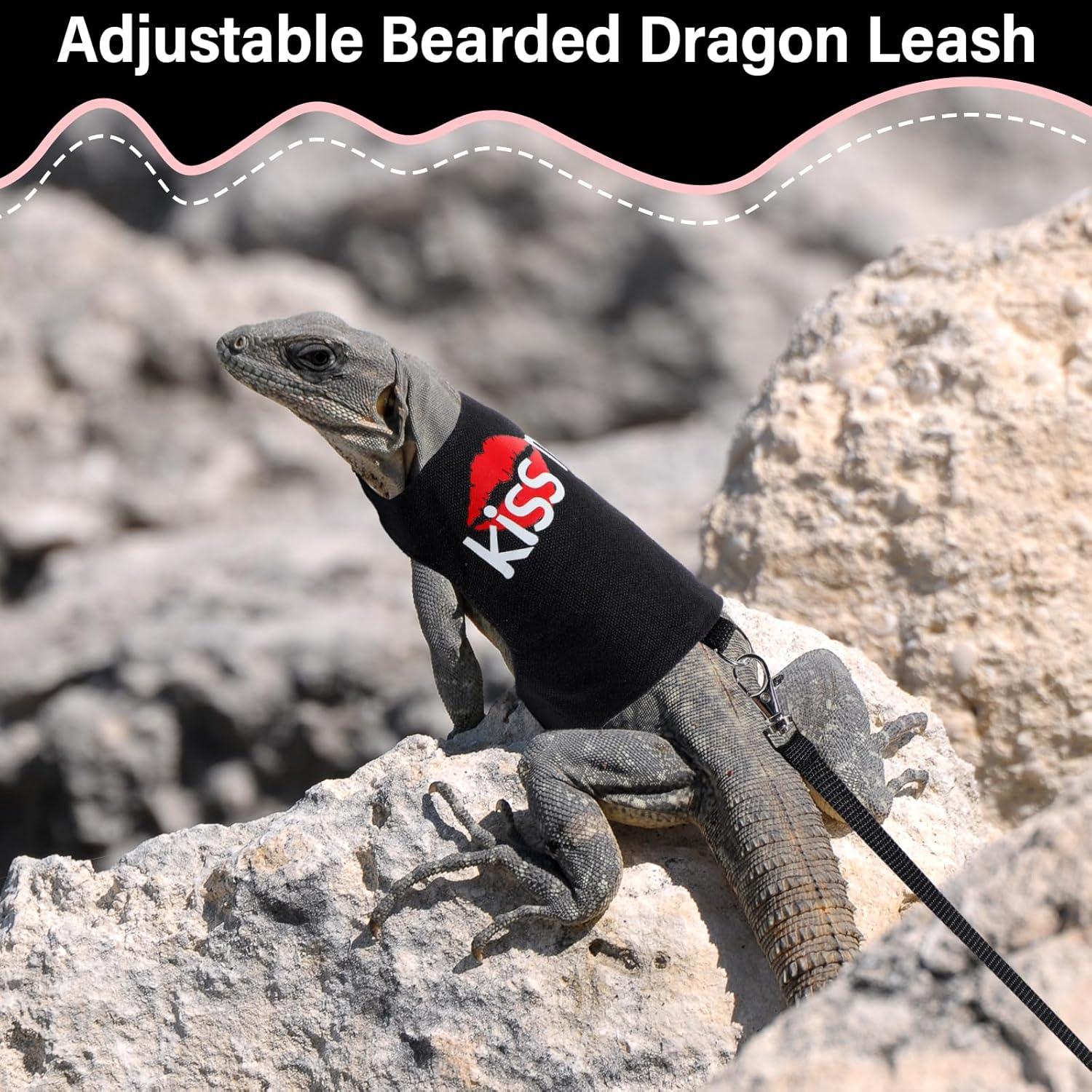 Set Arnés y Correa Luminiscente para Dragón Barbudo Wesnoy