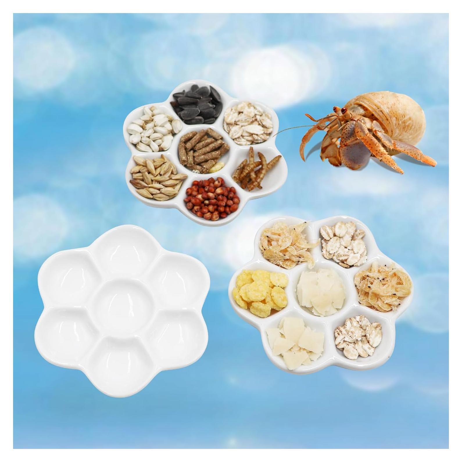 Paquete de 3 tazones de cerámica para cangrejos ermitaños 9 cm