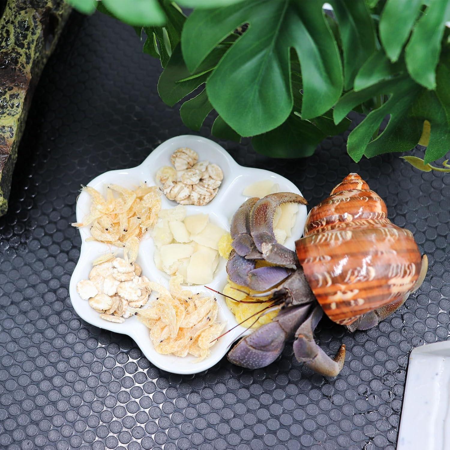 Paquete de 3 tazones de cerámica para cangrejos ermitaños 9 cm