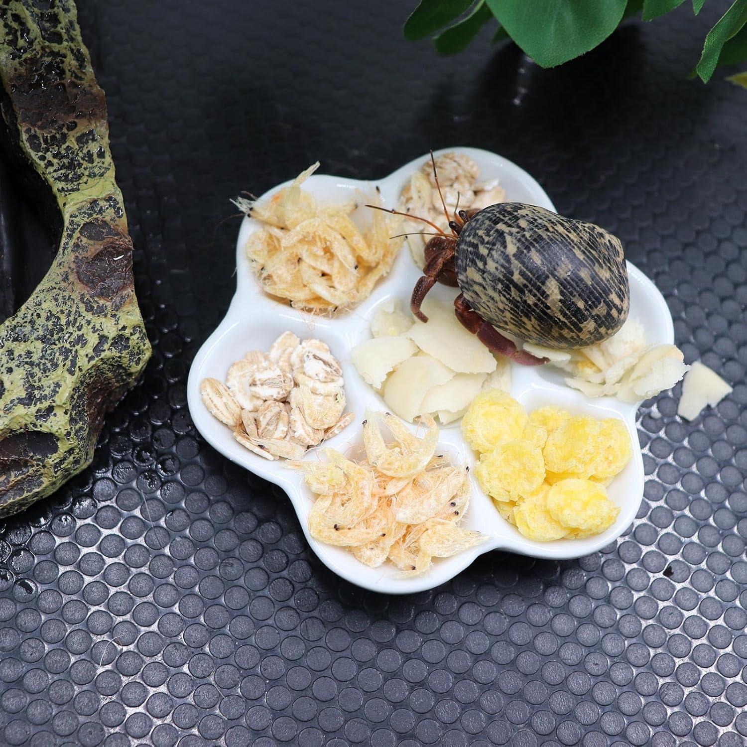 Paquete de 3 tazones de cerámica para cangrejos ermitaños 9 cm