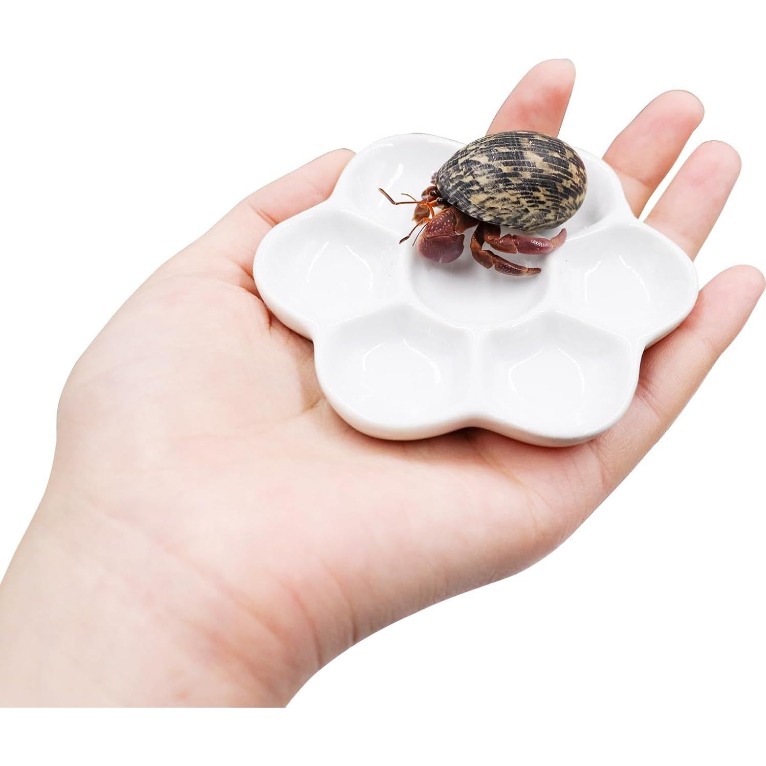 Paquete de 3 tazones de cerámica para cangrejos ermitaños 9 cm