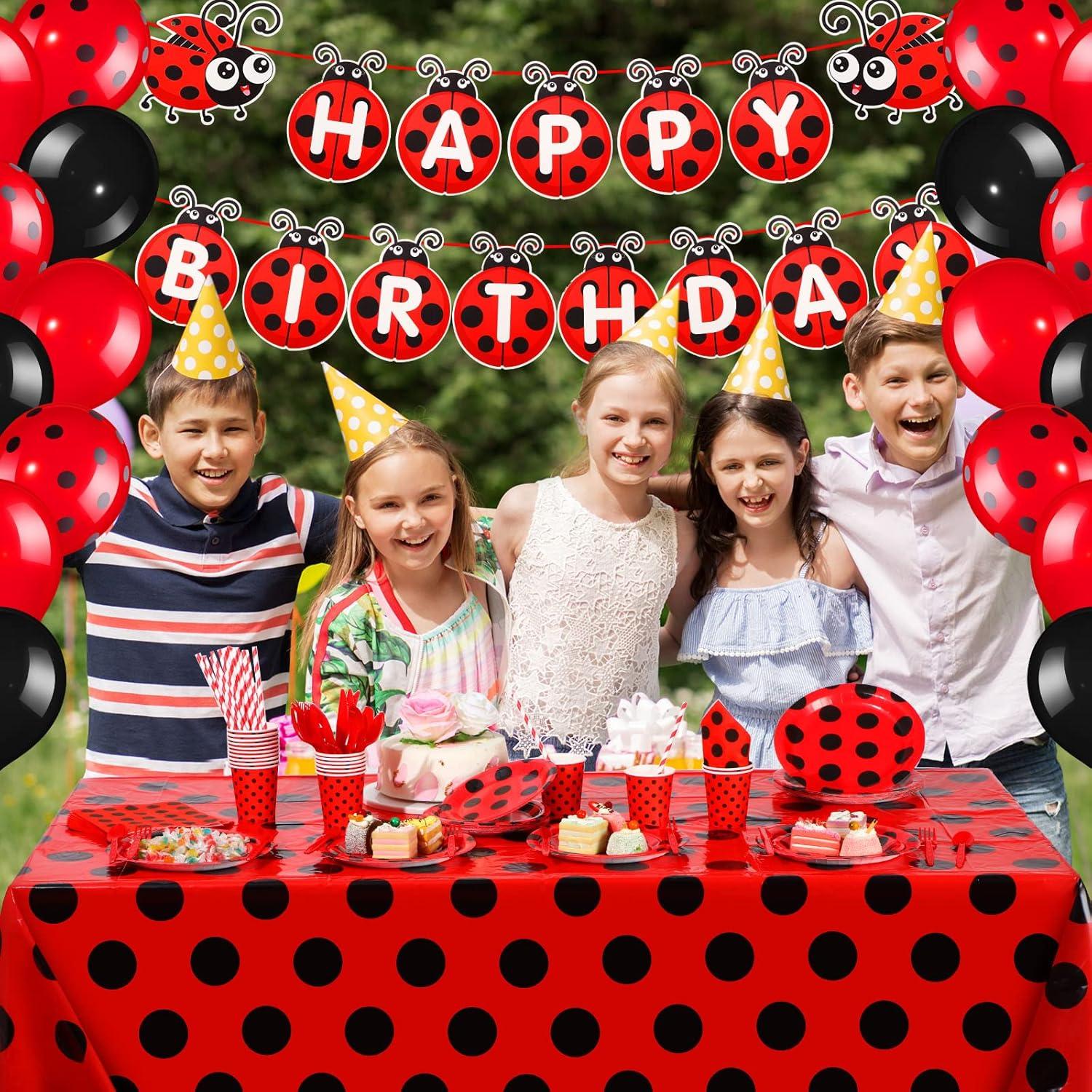 Conjunto de Decoraciones de Cumpleaños Mariquita 200 Pcs