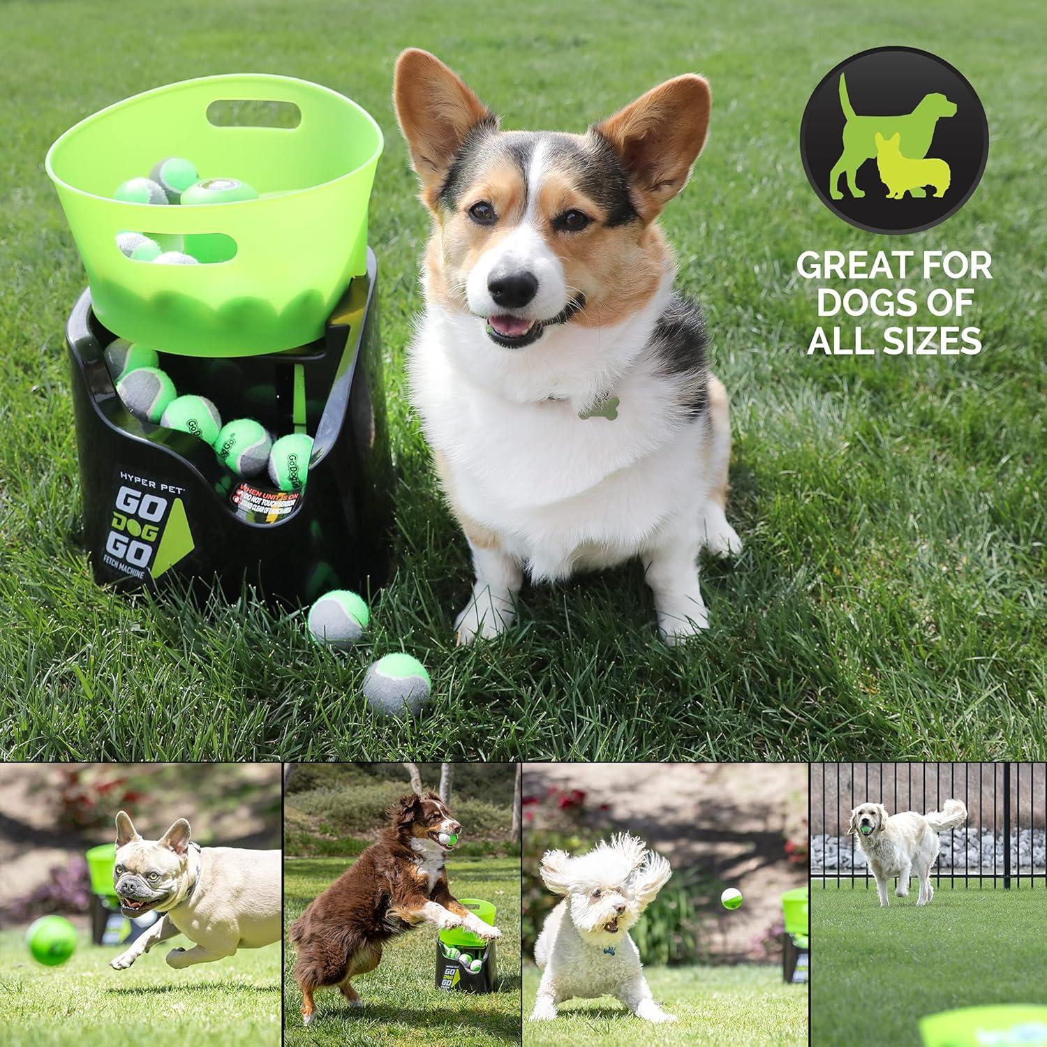 Lanzador Automático de Pelotas GoDogGo para Perros 2.5"