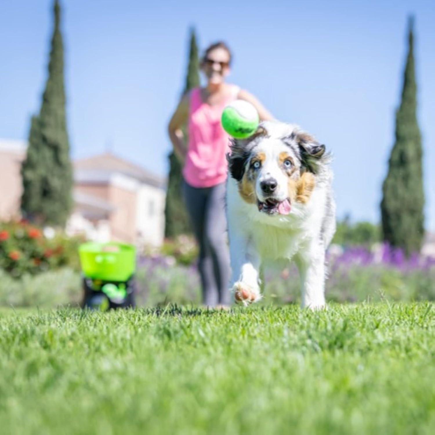 Lanzador Automático de Pelotas GoDogGo para Perros 2.5"