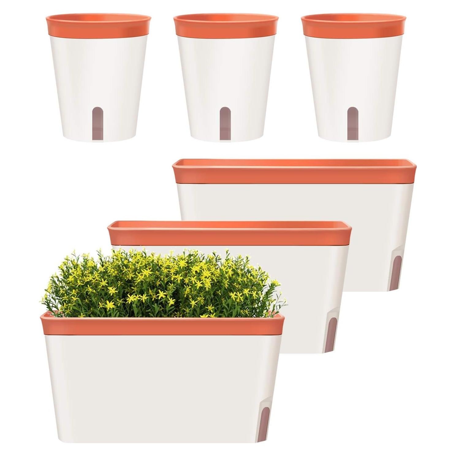 Juego de 6 Macetas Rectangulares Autorriego GardenBasix Arcilla