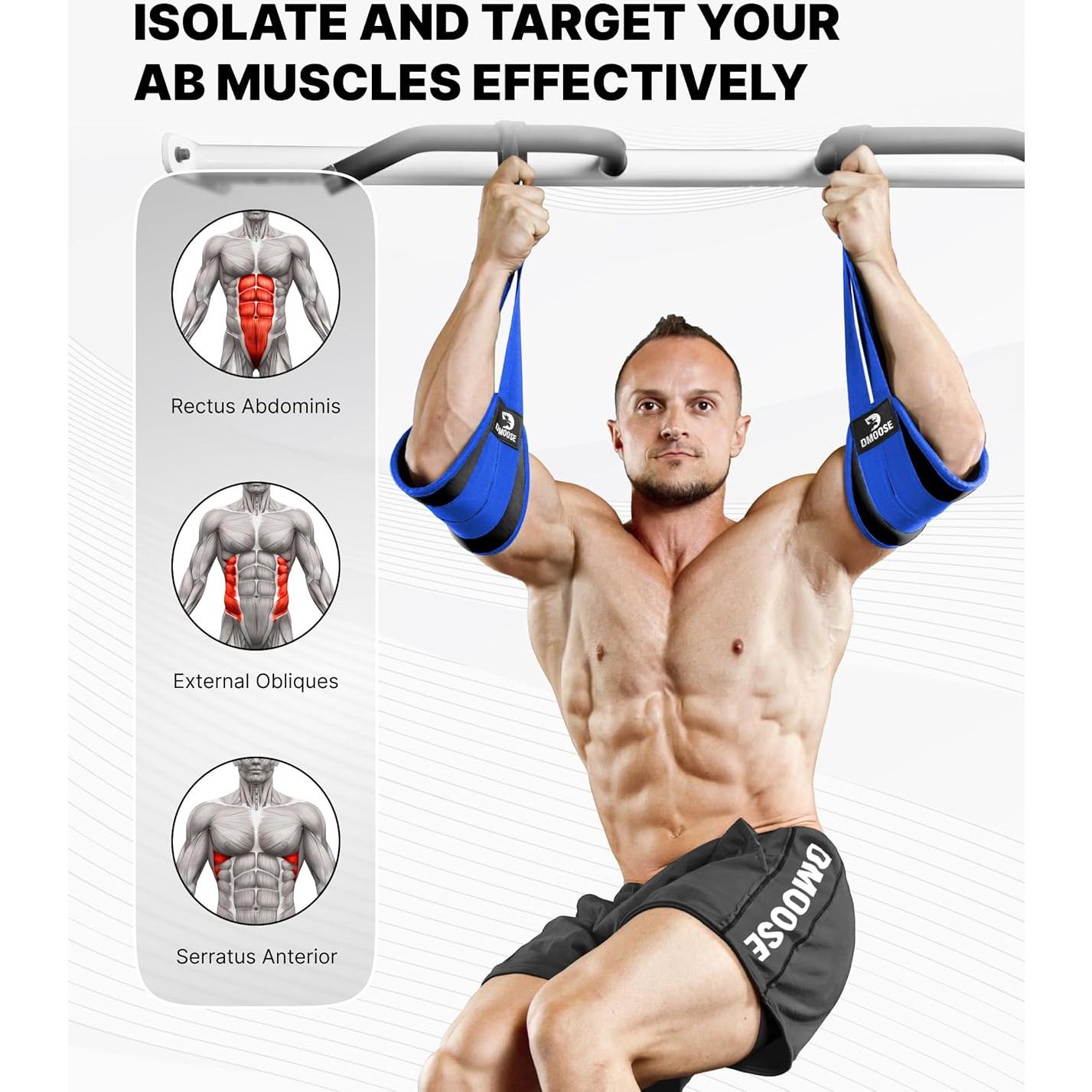 Cintas Abdominales Colgantes DMoose - Soporte 150 kg