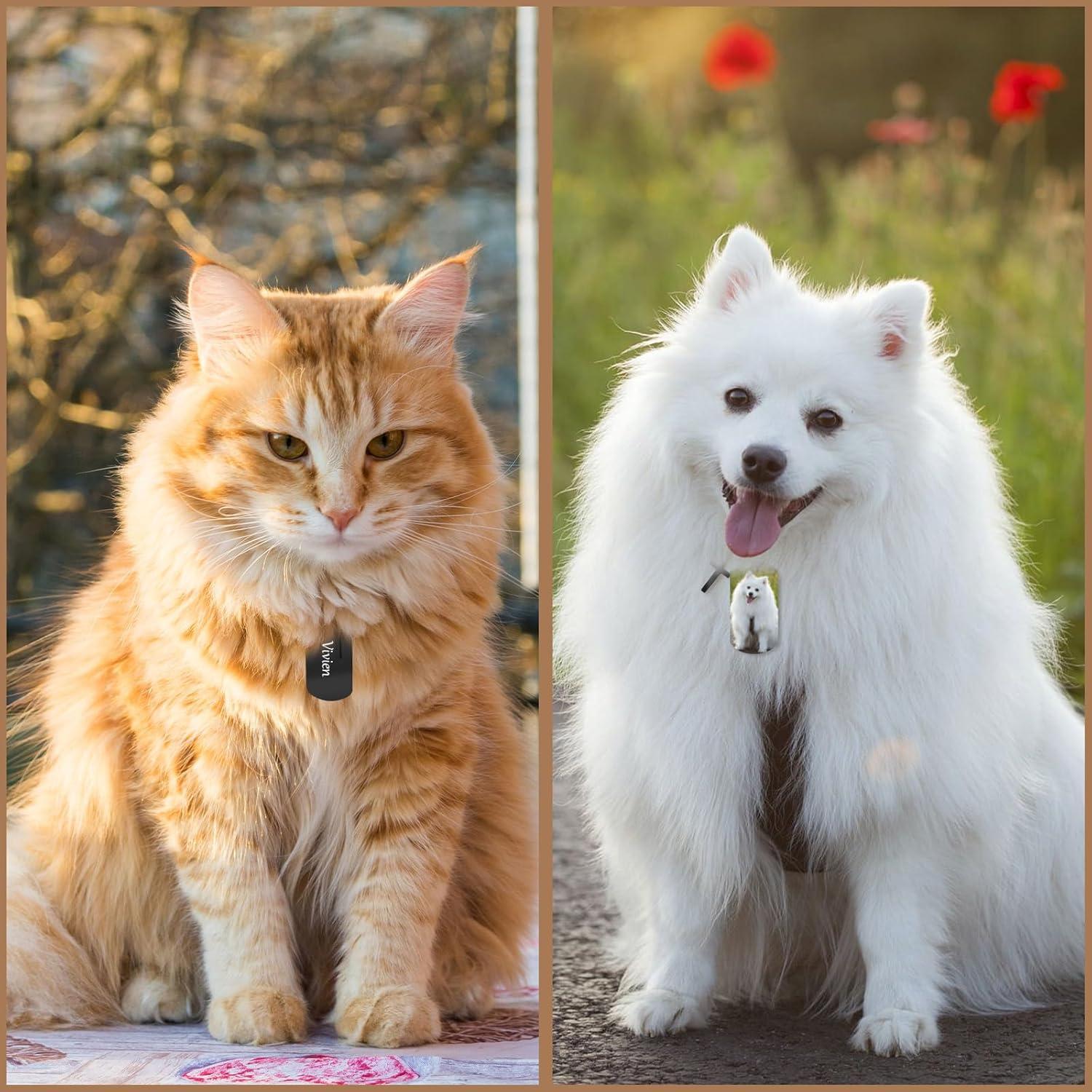 30 Llaveros Metálicos Grabables Gisafai Acero Inoxidable Negro