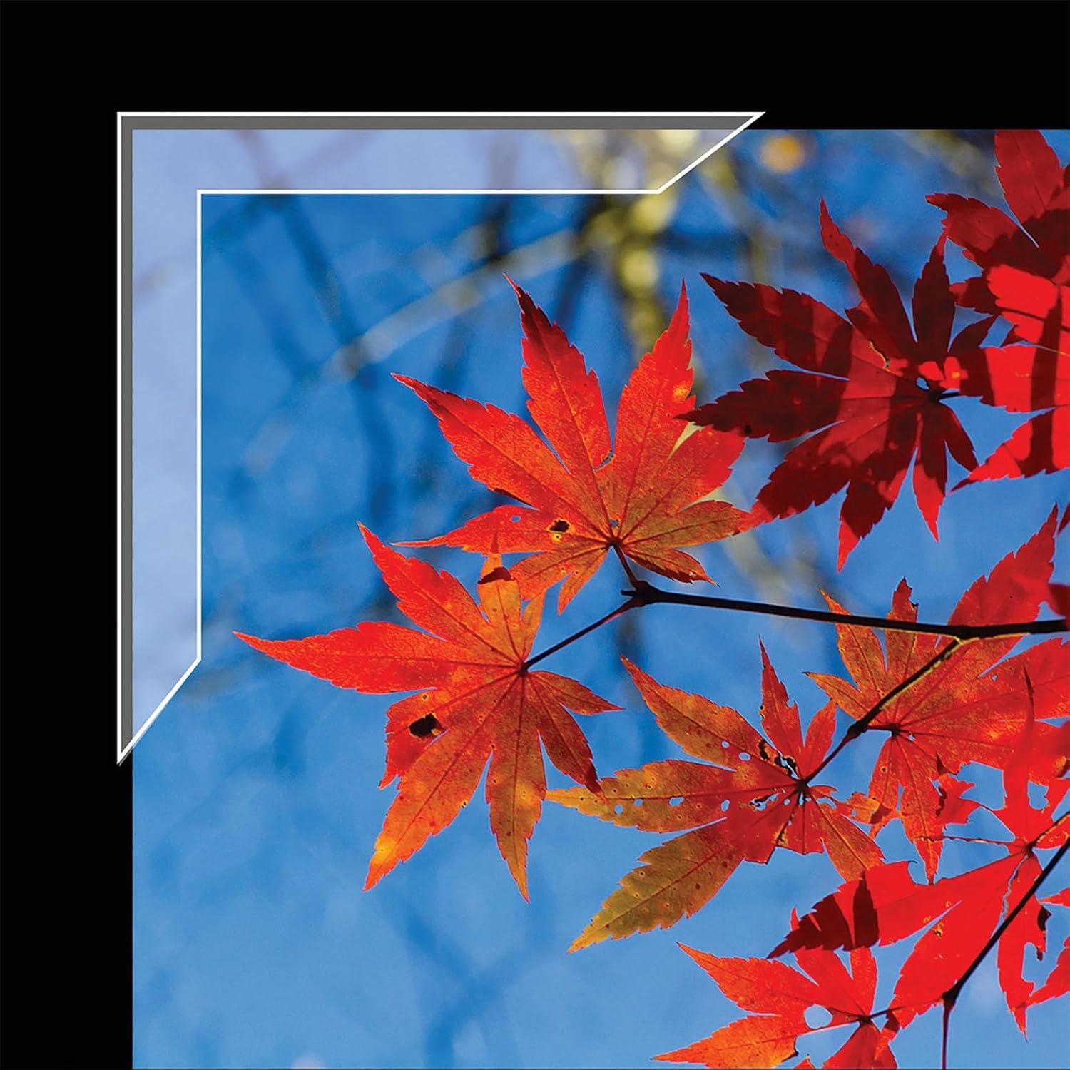 Esquinas de Montaje Autoadhesivas Lineco Slimline 3.18 cm - Paquete de 72