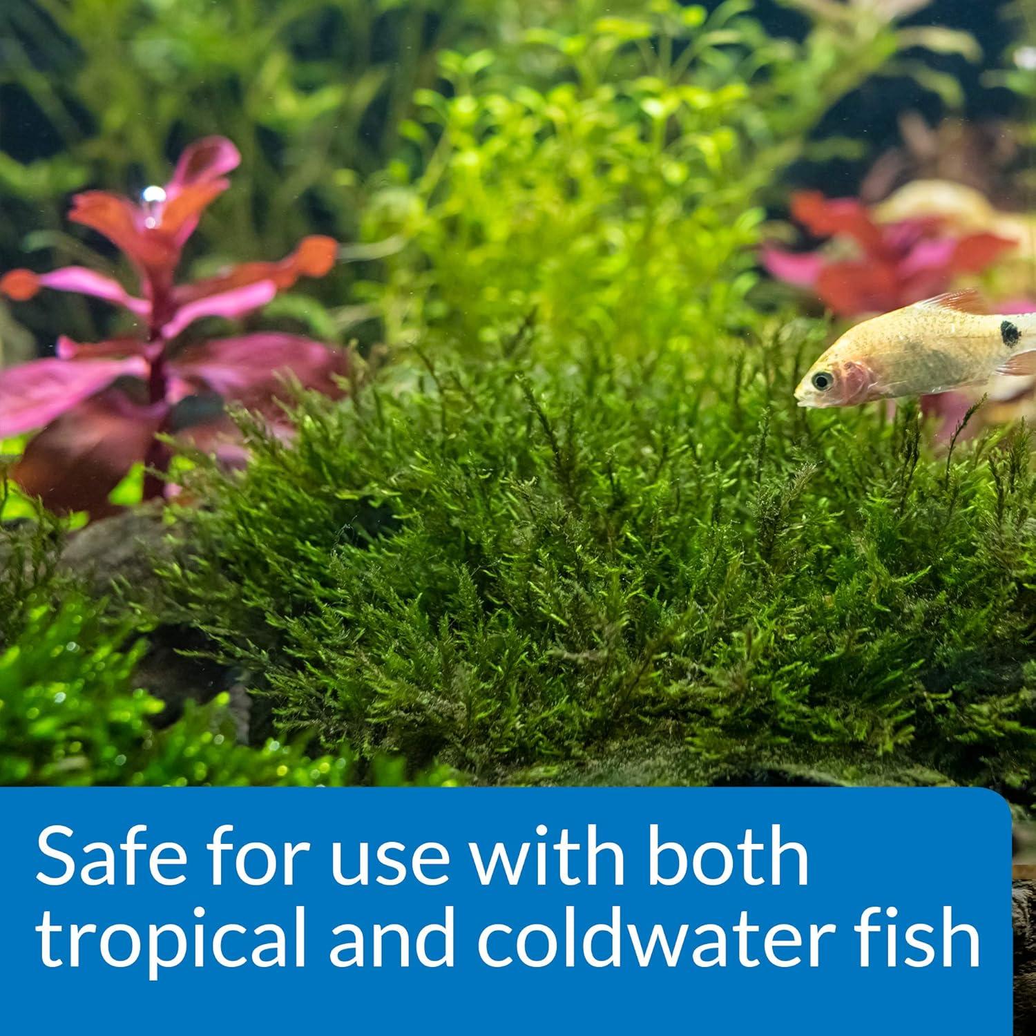 Fertilizante para Plantas de Acuario API ROOT TABS 10 Tablet 28.93g