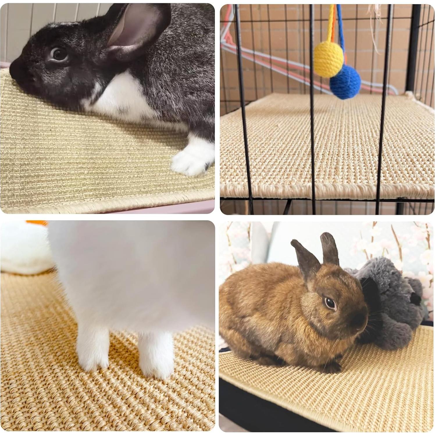 Alfombrilla de Rascado para Conejos Mooydee 40x30 cm Beige 2 Pzas