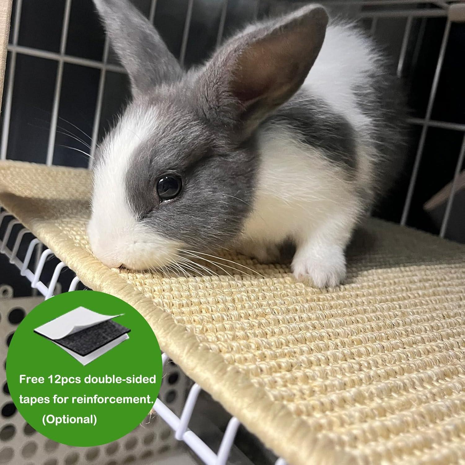 Alfombrilla de Rascado para Conejos Mooydee 40x30 cm Beige 2 Pzas