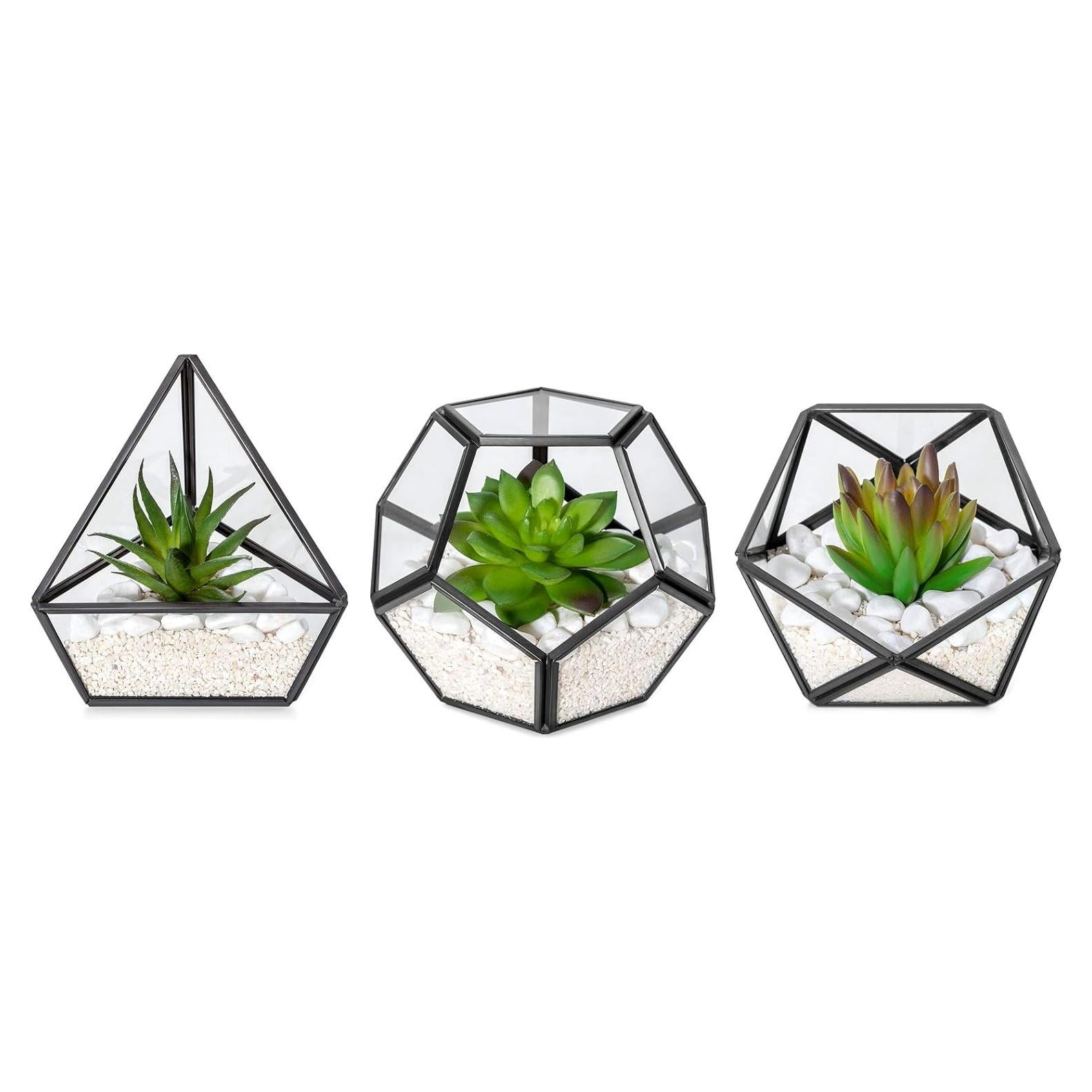 Terrarios Geométricos de Vidrio Mkono - 3 Piezas con Suculentas