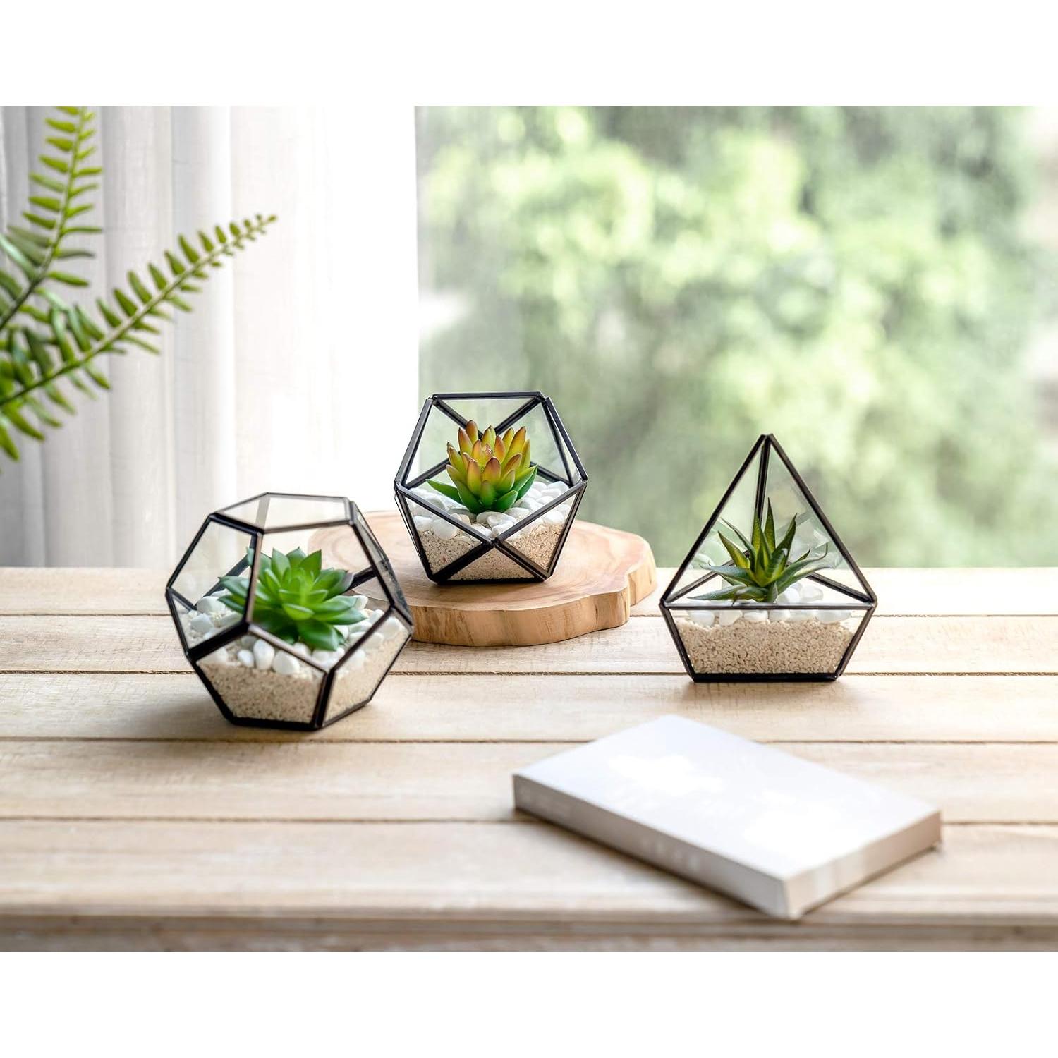 Terrarios Geométricos de Vidrio Mkono - 3 Piezas con Suculentas