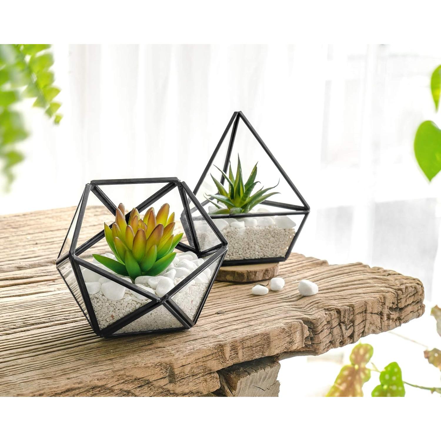 Terrarios Geométricos de Vidrio Mkono - 3 Piezas con Suculentas