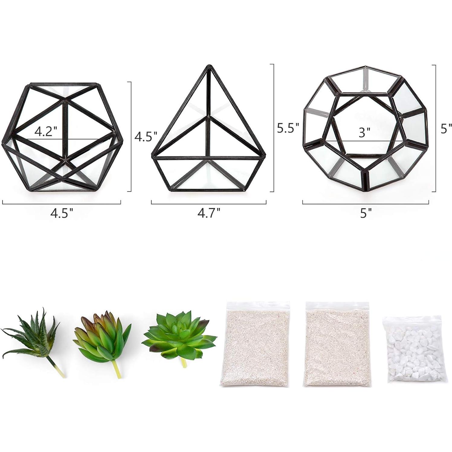 Terrarios Geométricos de Vidrio Mkono - 3 Piezas con Suculentas