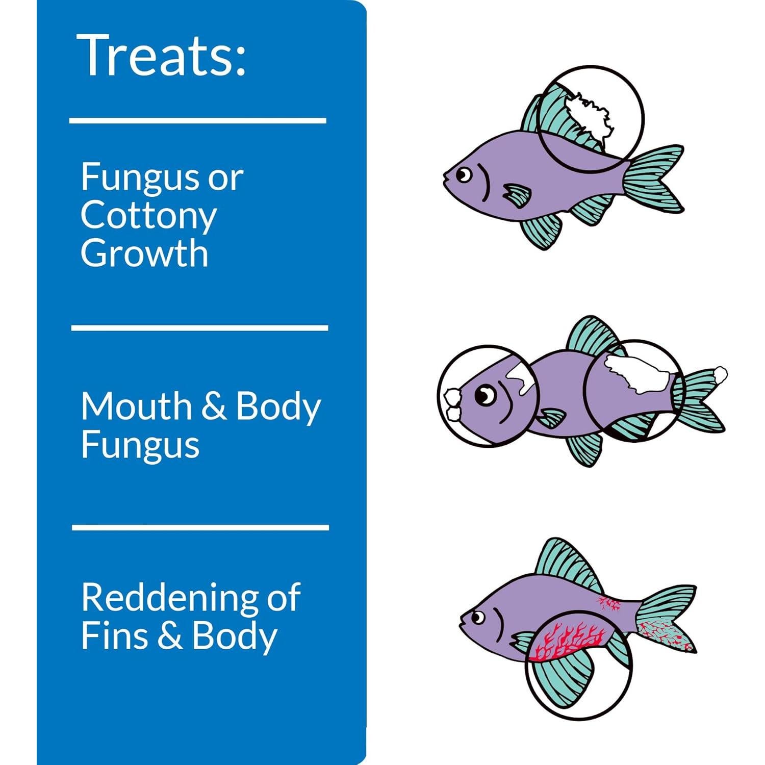 API PIMAFIX 120 ml remedio para peces agua dulce y salada