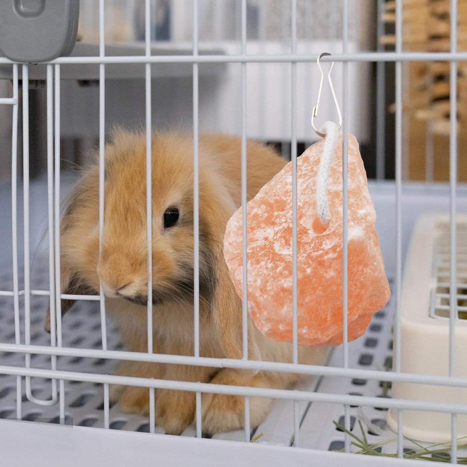 Bloques de Sal Himalayo PINVNBY para Conejos - 4 Piezas